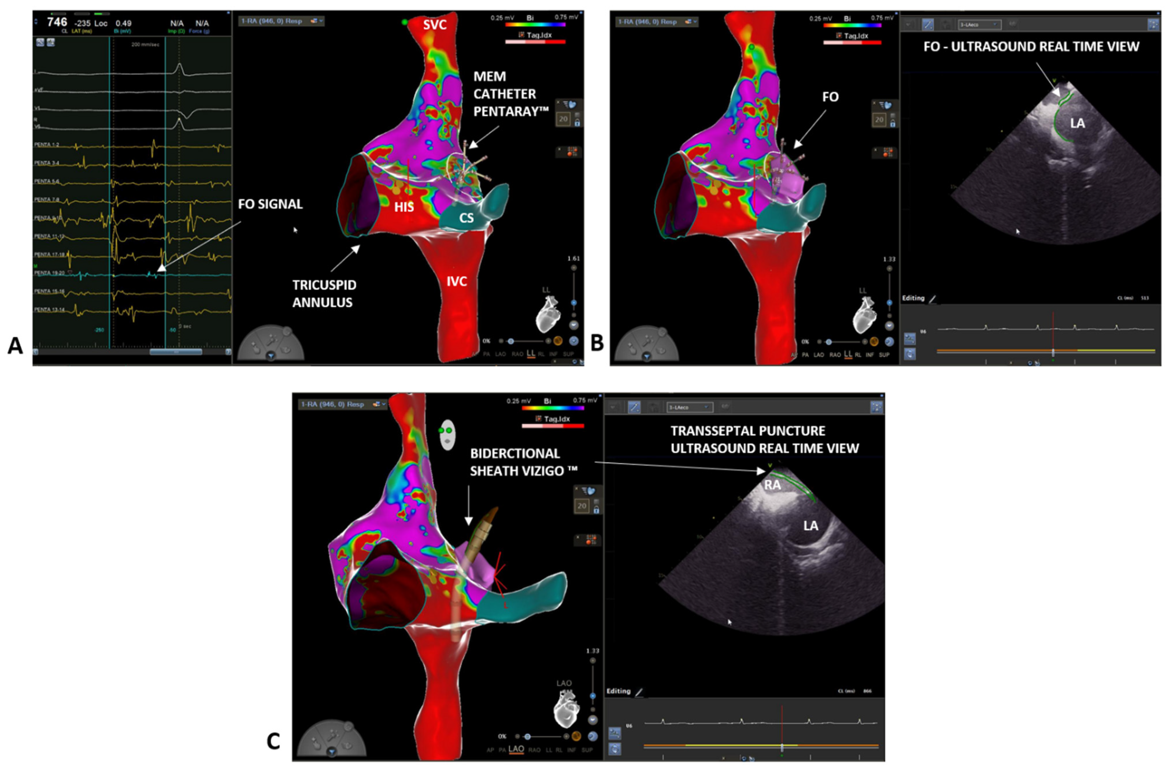 Biology 10 01333 g002
