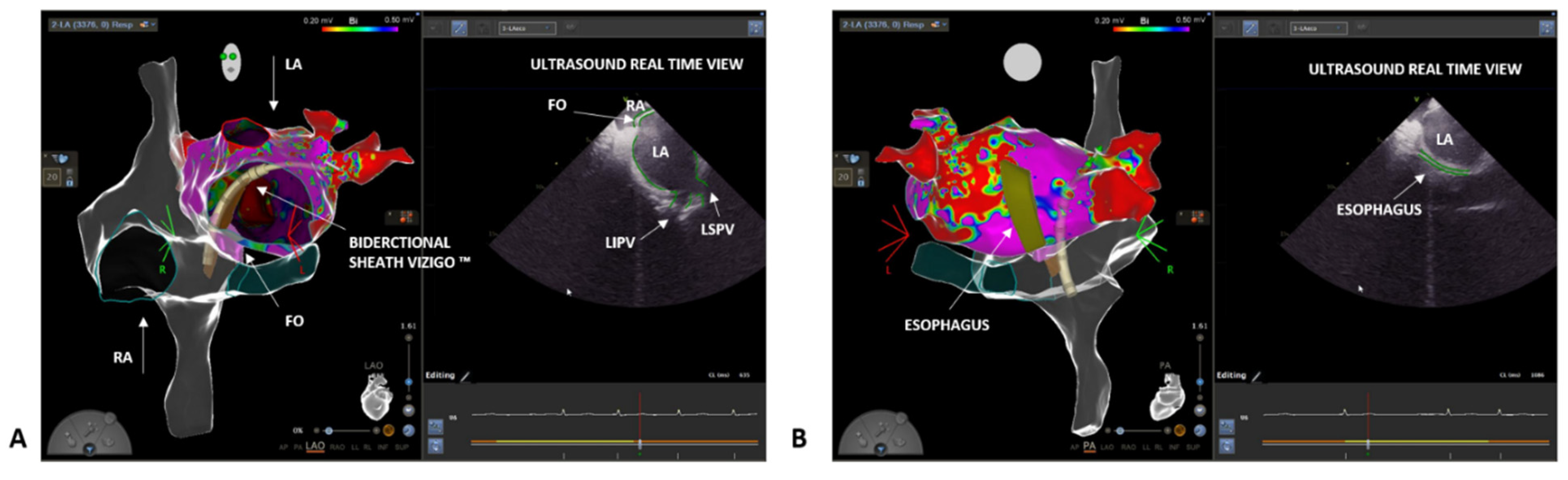 Biology 10 01333 g003