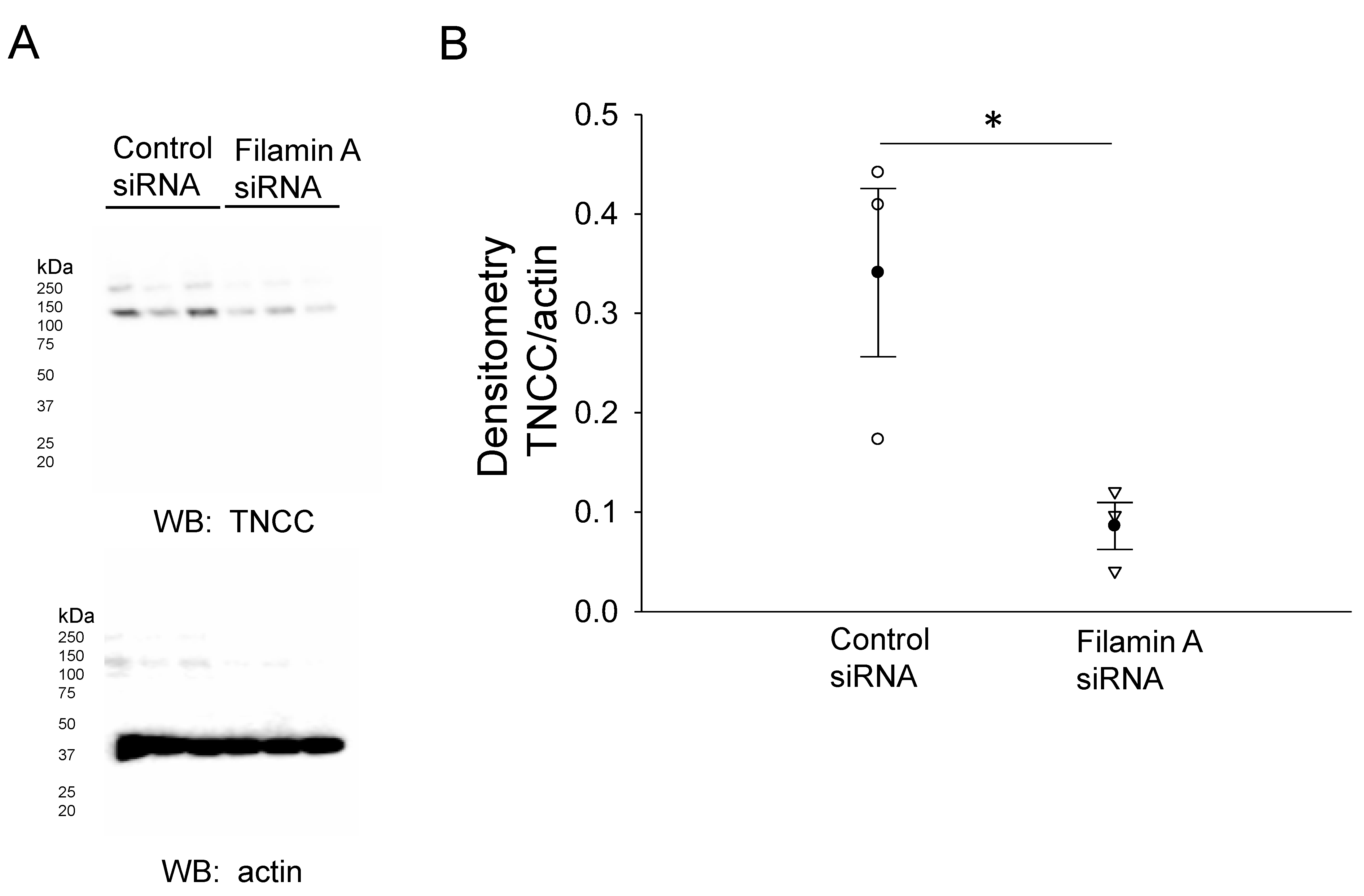 Biology 10 01335 g003