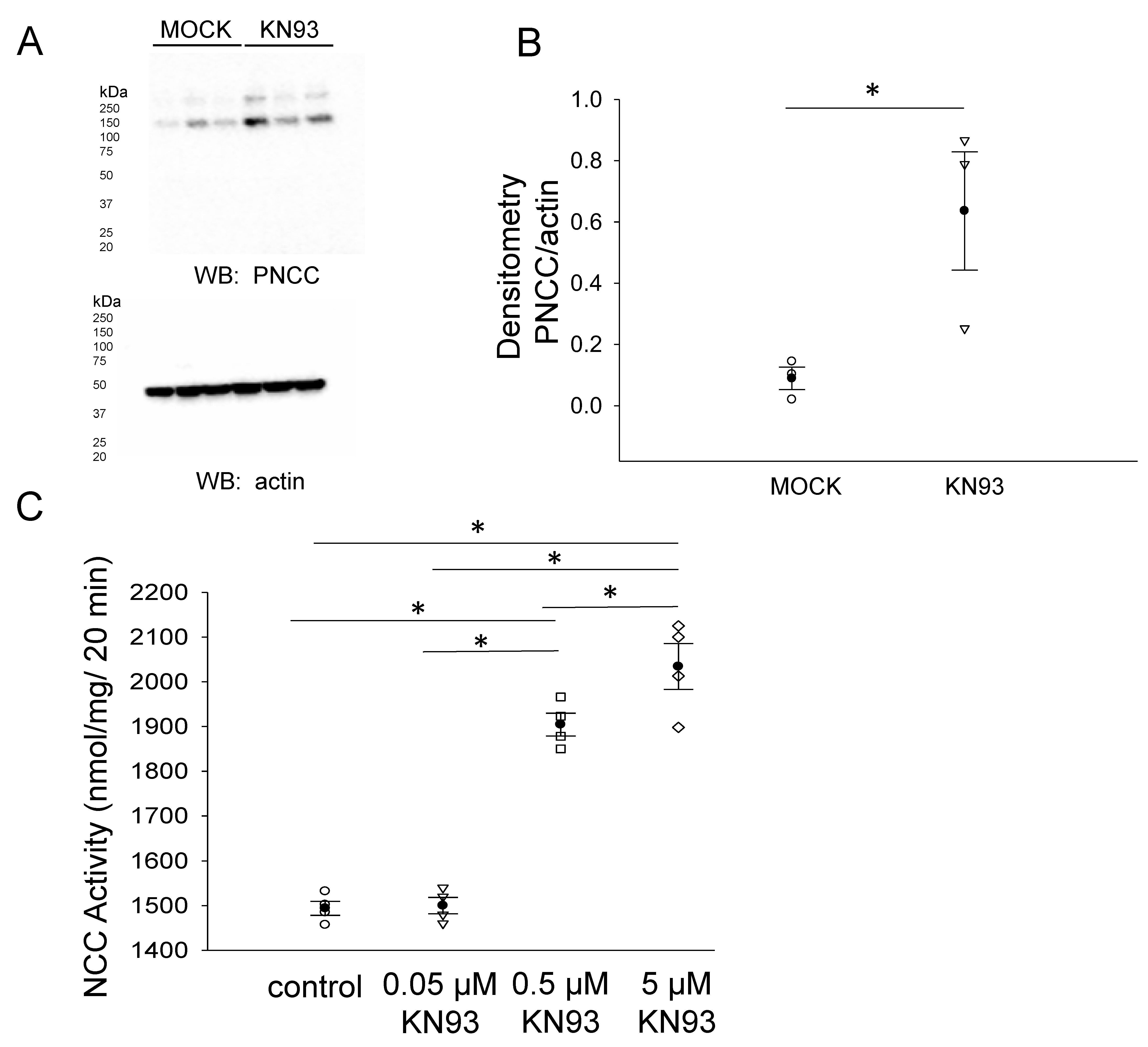Biology 10 01335 g008