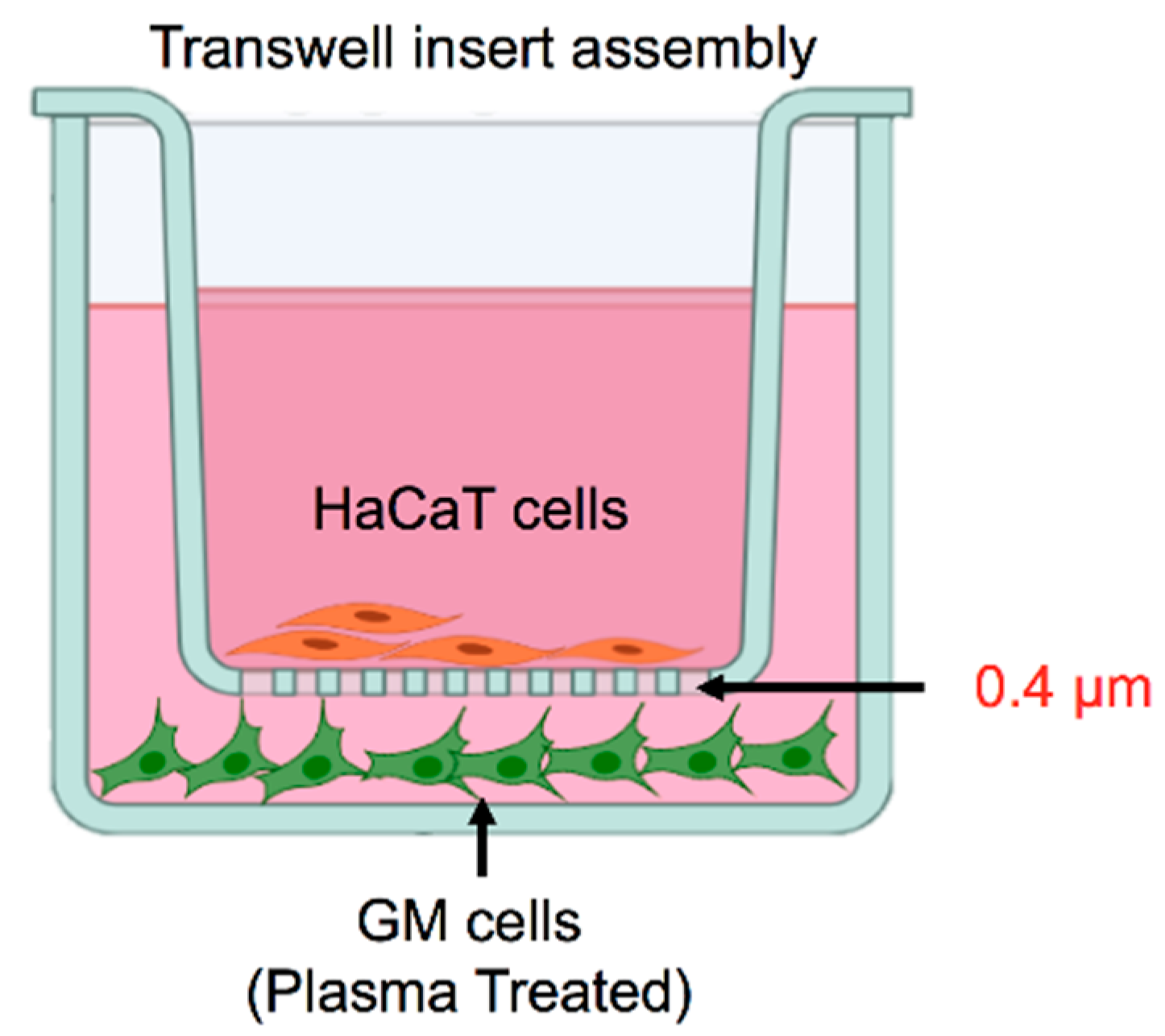 Biology 10 01338 g001