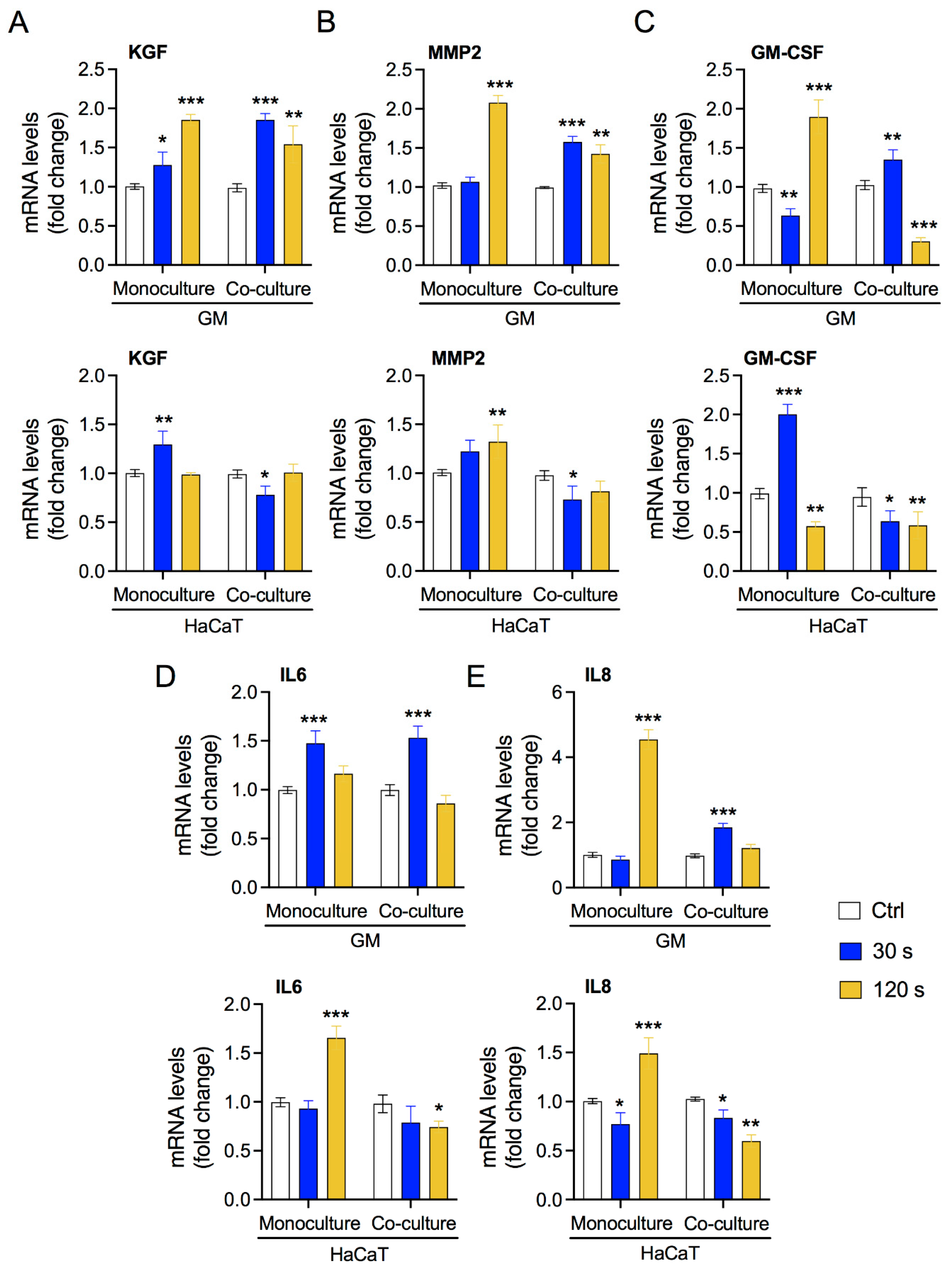 Biology 10 01338 g004