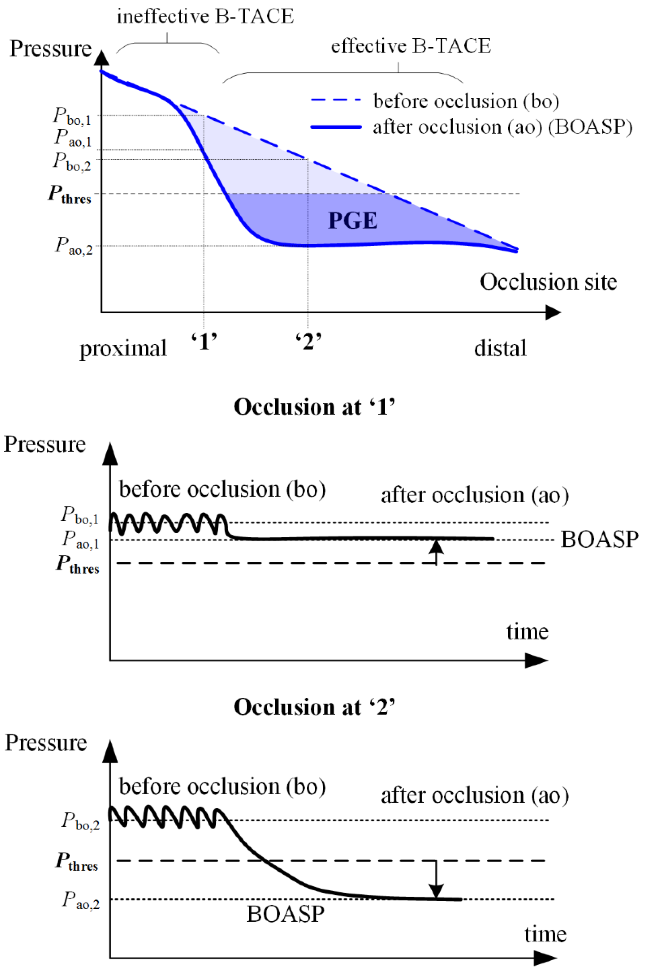 Biology 10 01341 g001