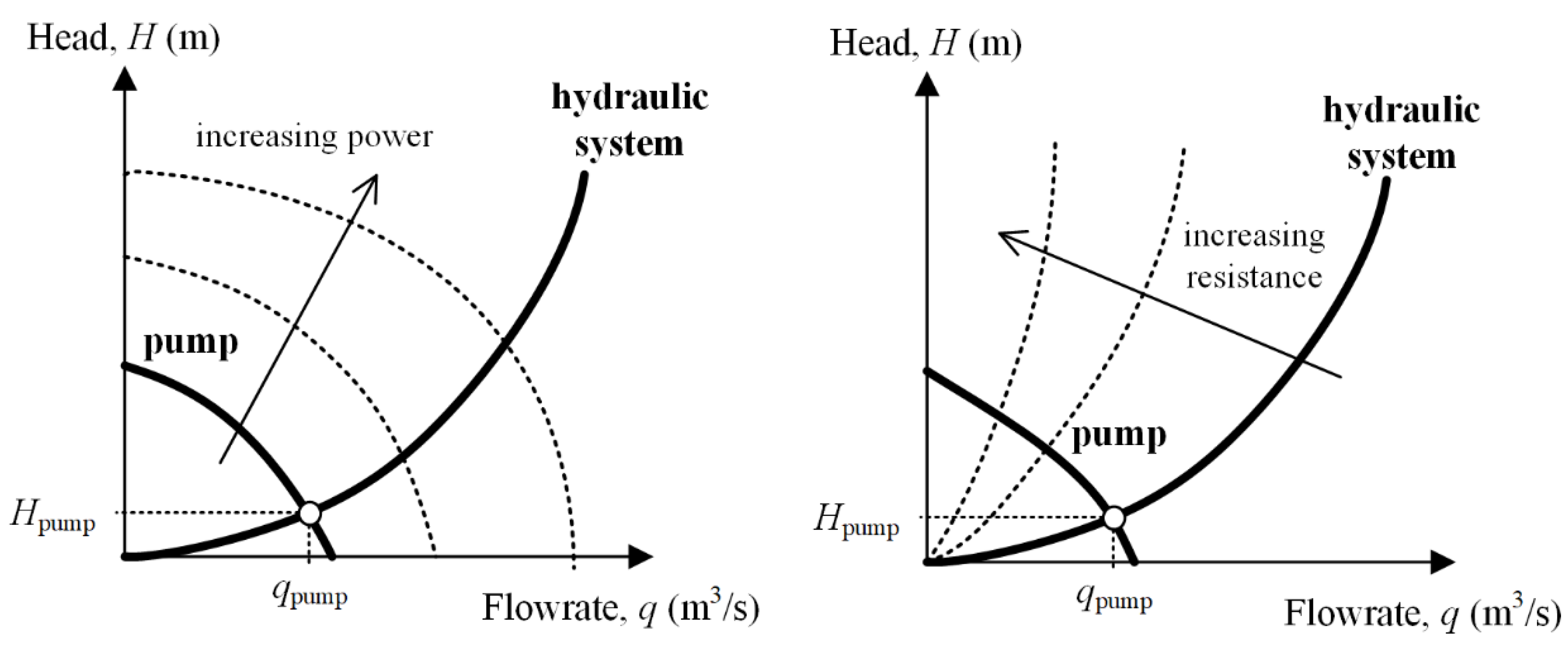 Biology 10 01341 g003