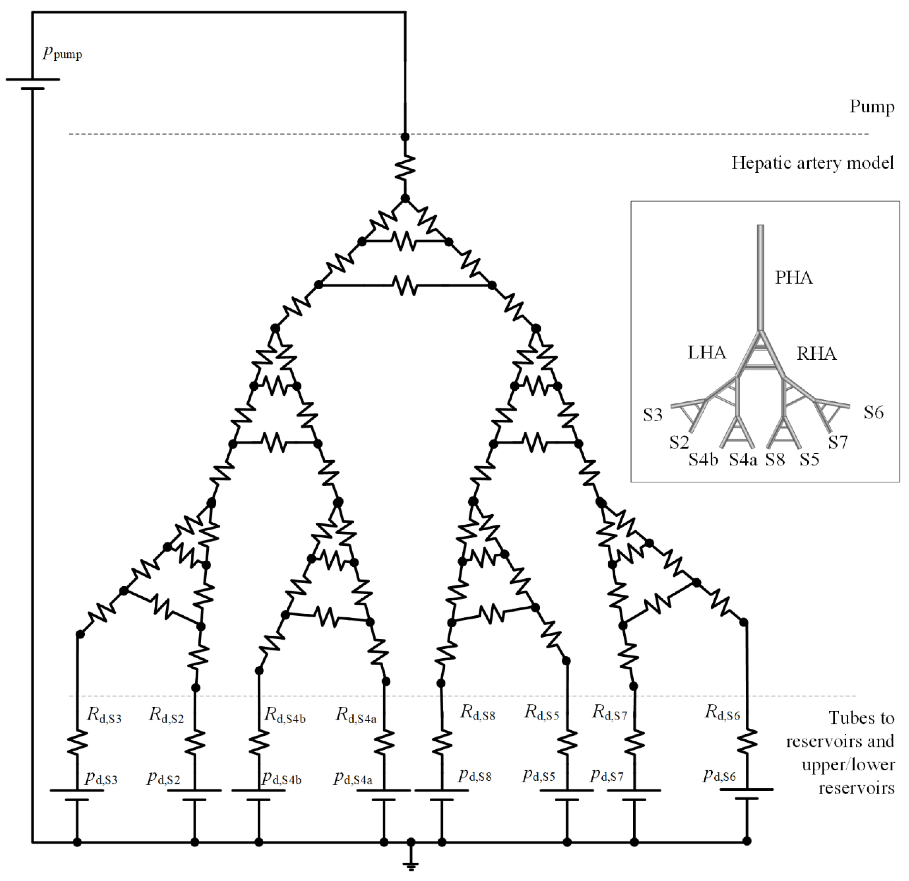 Biology 10 01341 g004