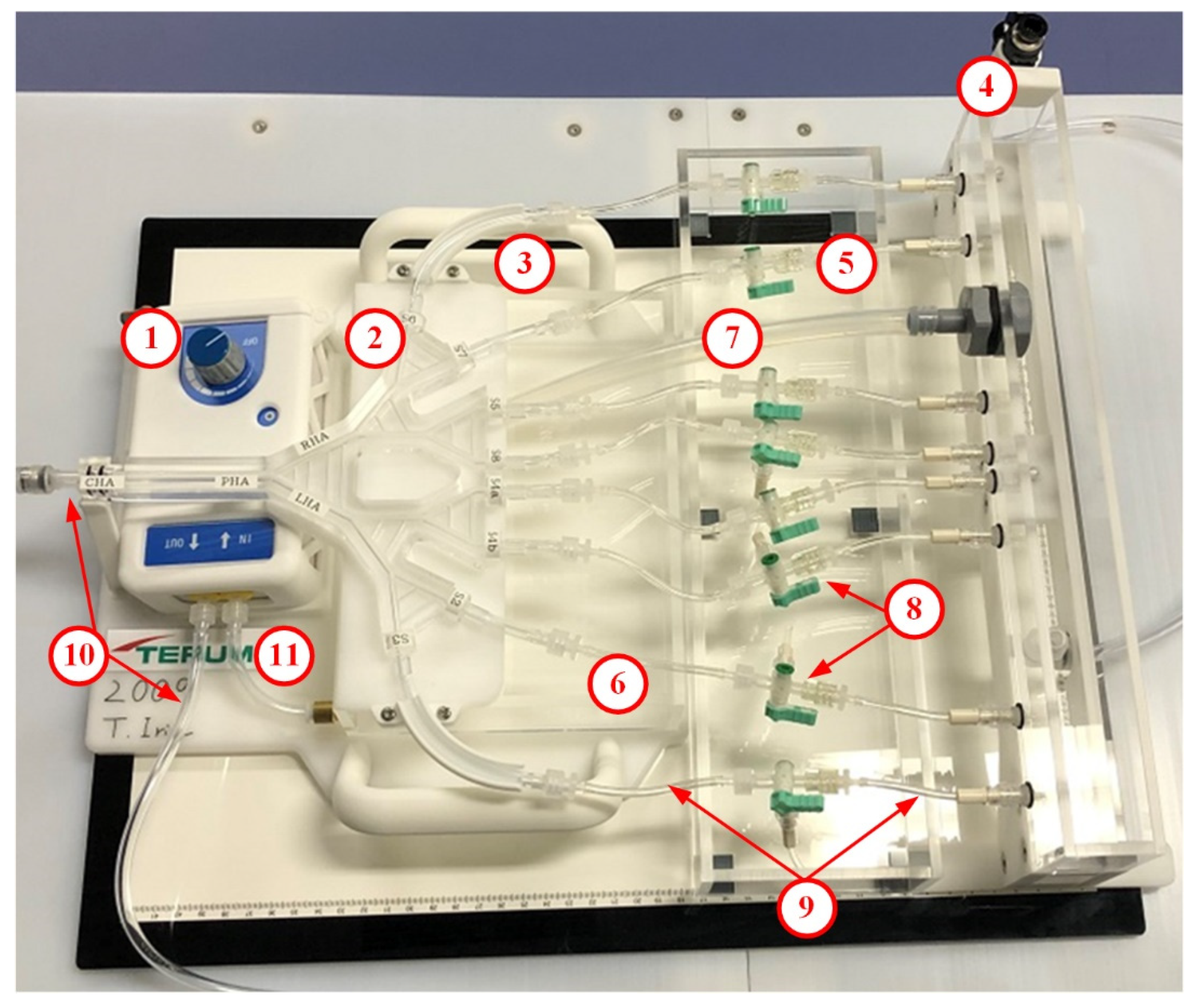 Biology 10 01341 g006
