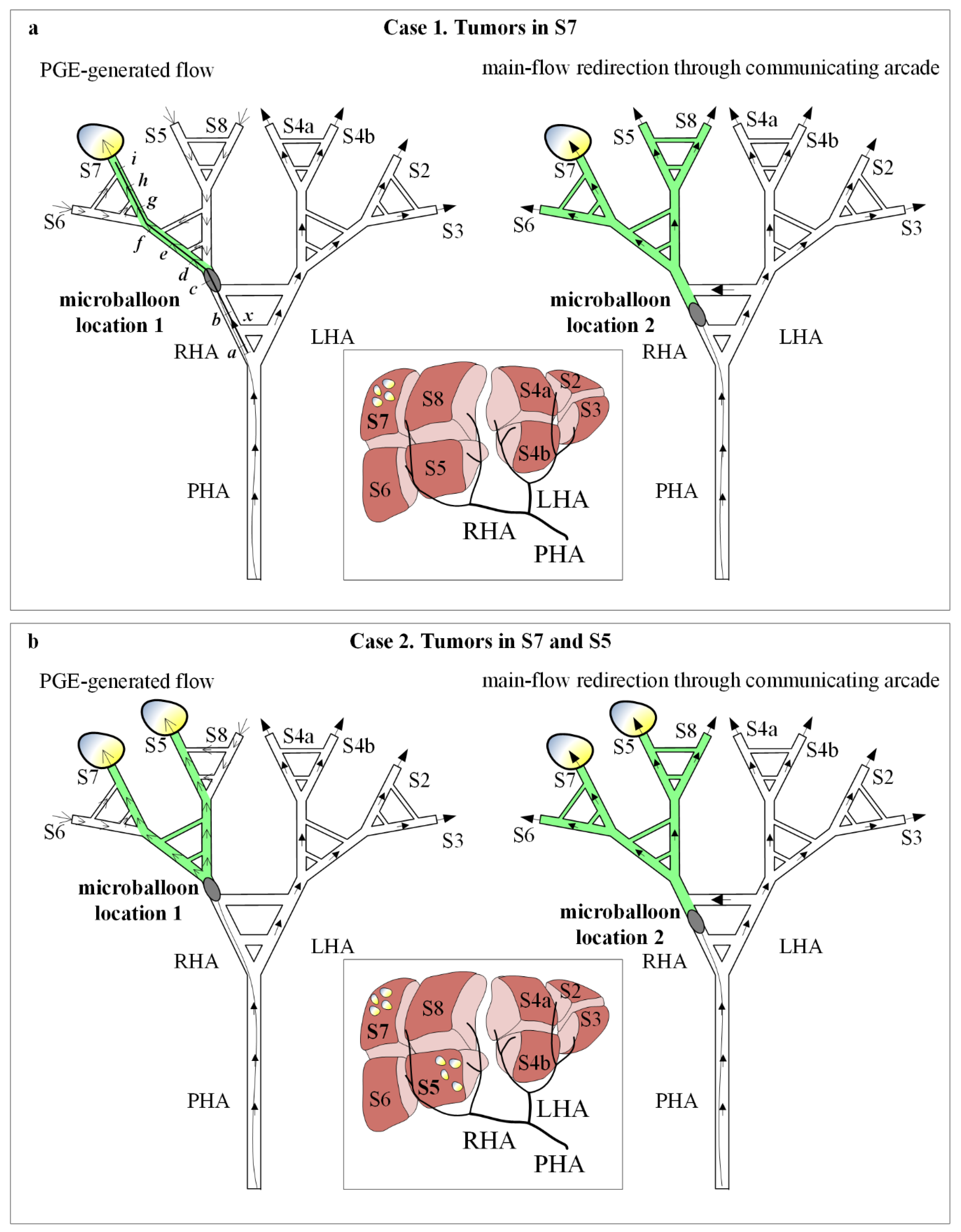 Biology 10 01341 g007