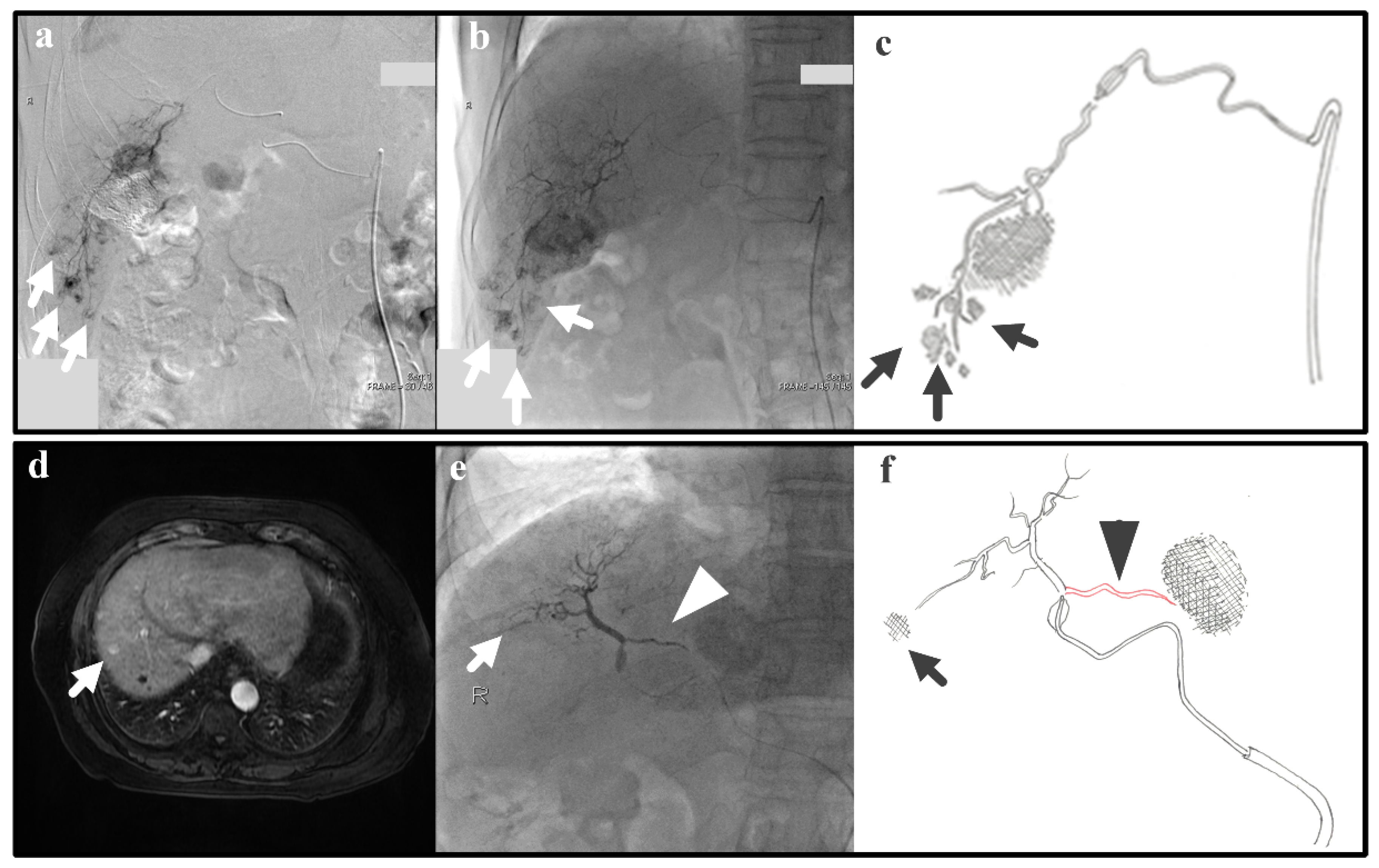 Biology 10 01341 g008
