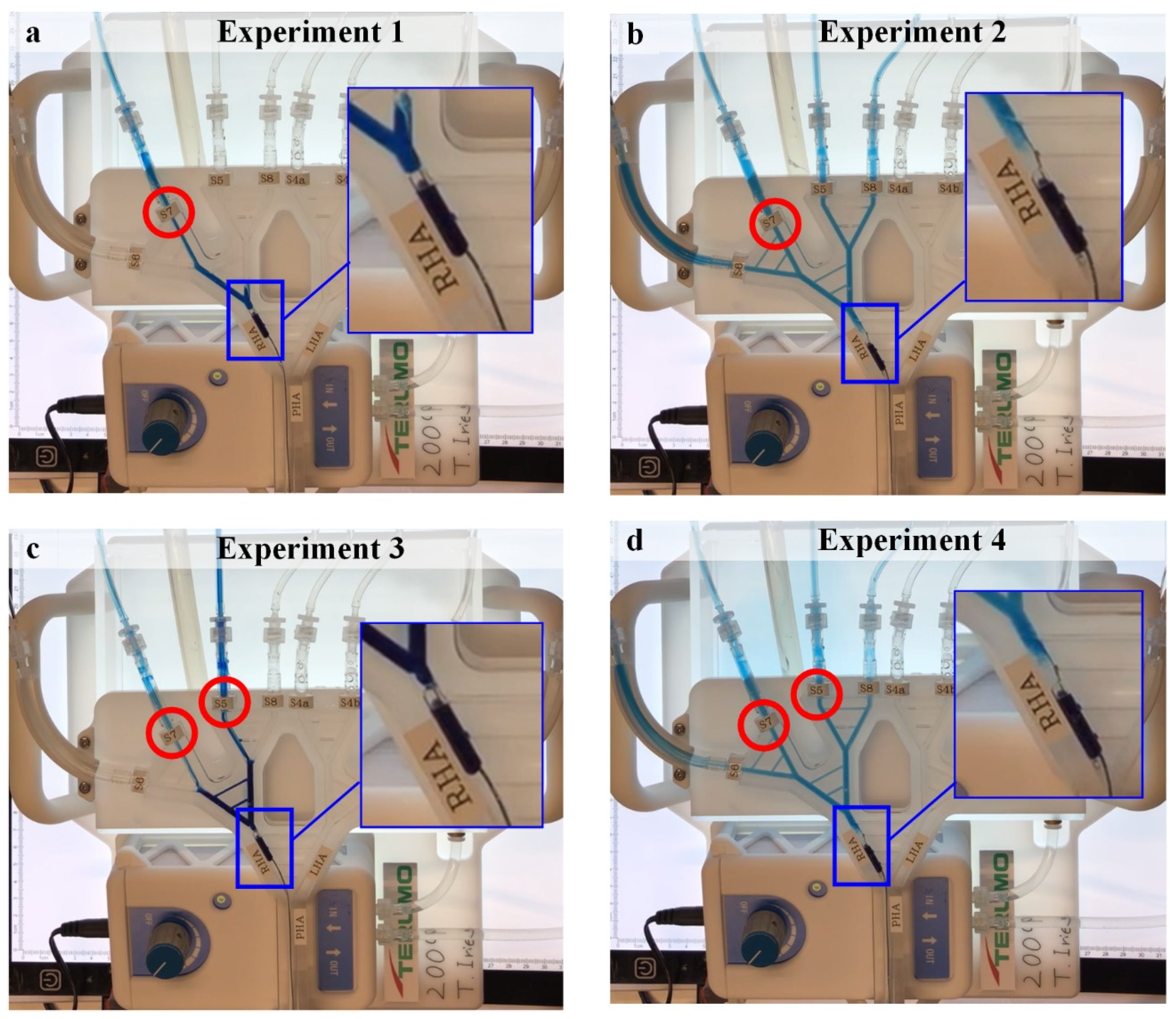 Biology 10 01341 g009