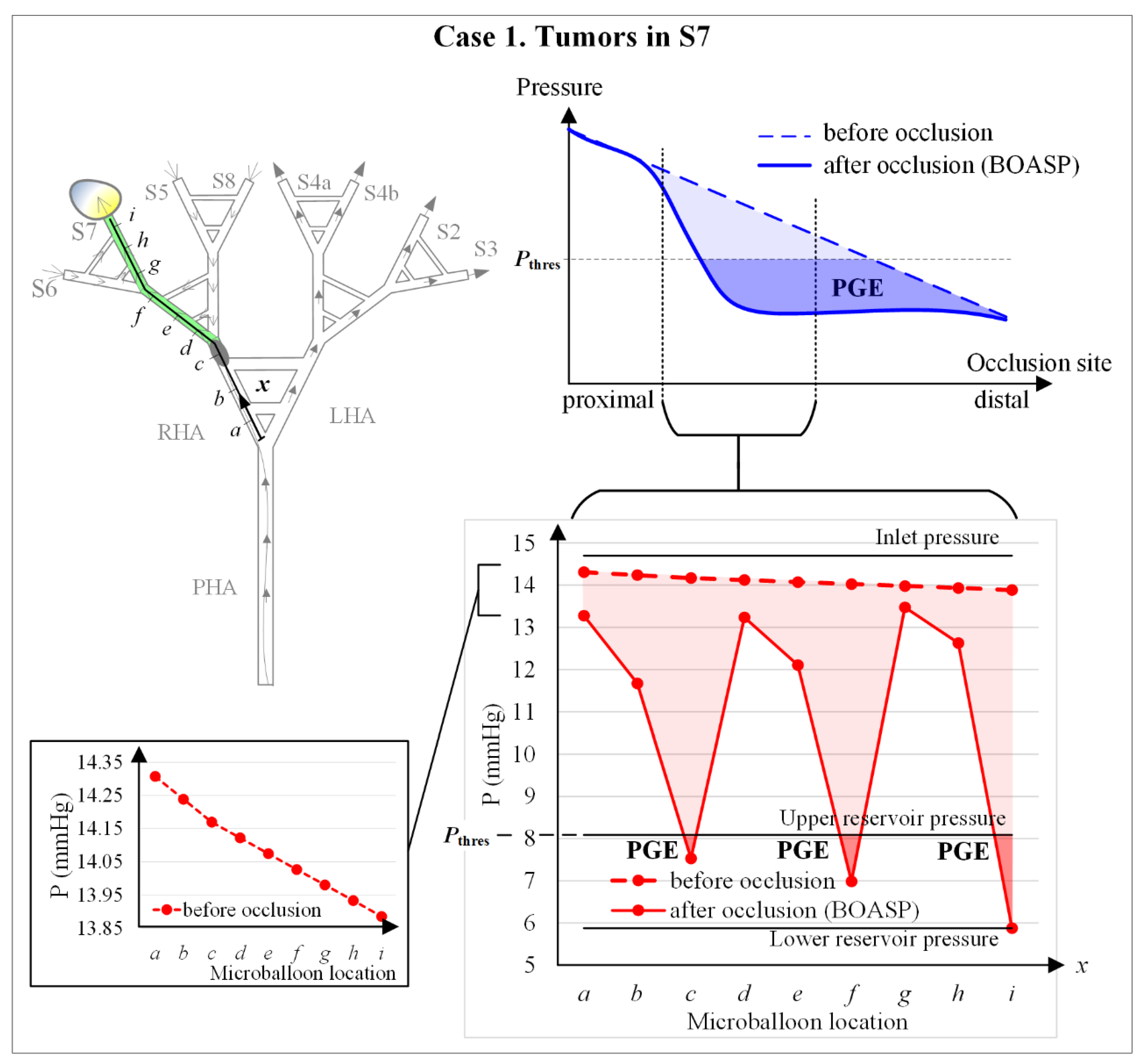 Biology 10 01341 g012