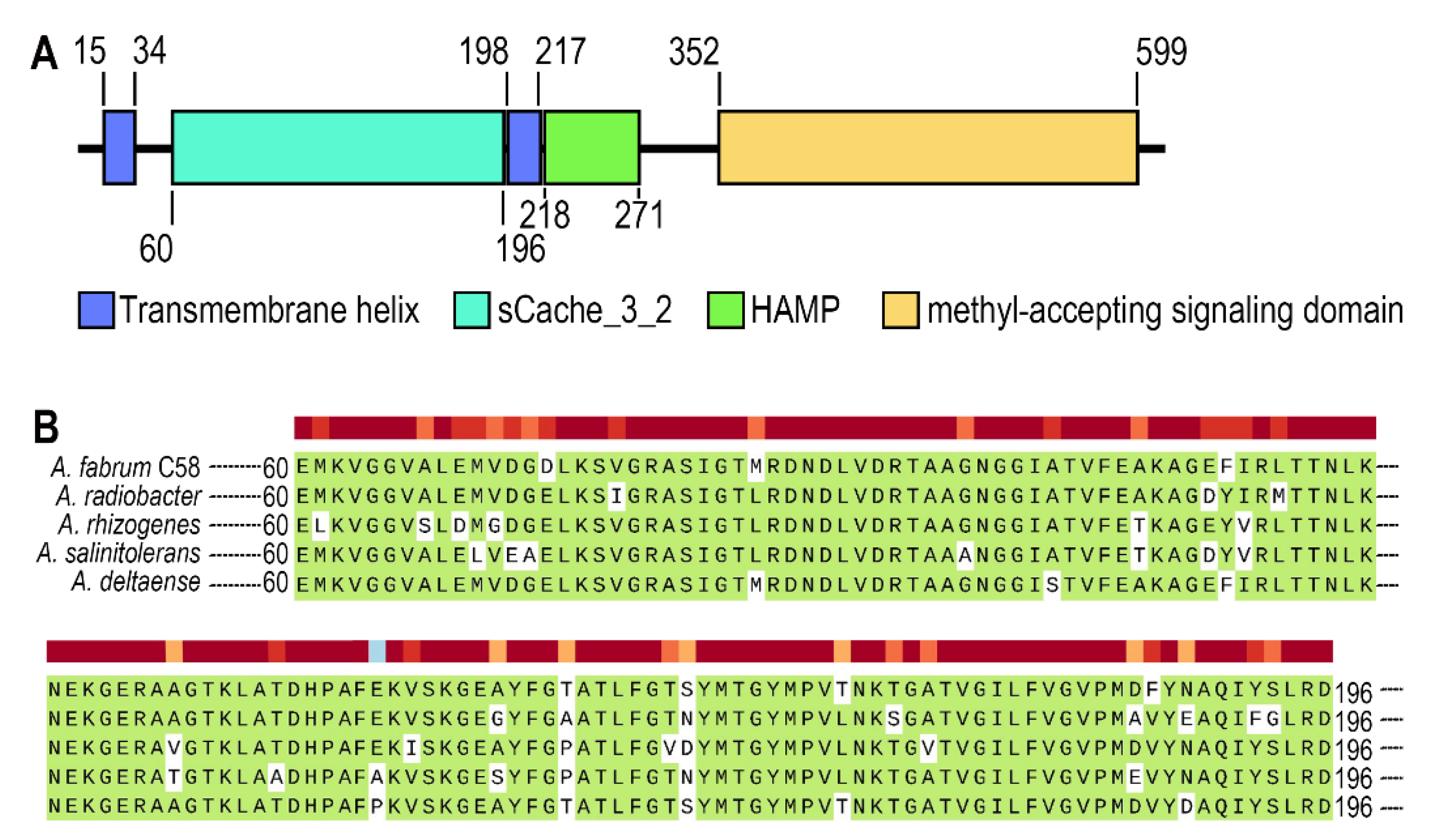 Biology 10 01345 g001