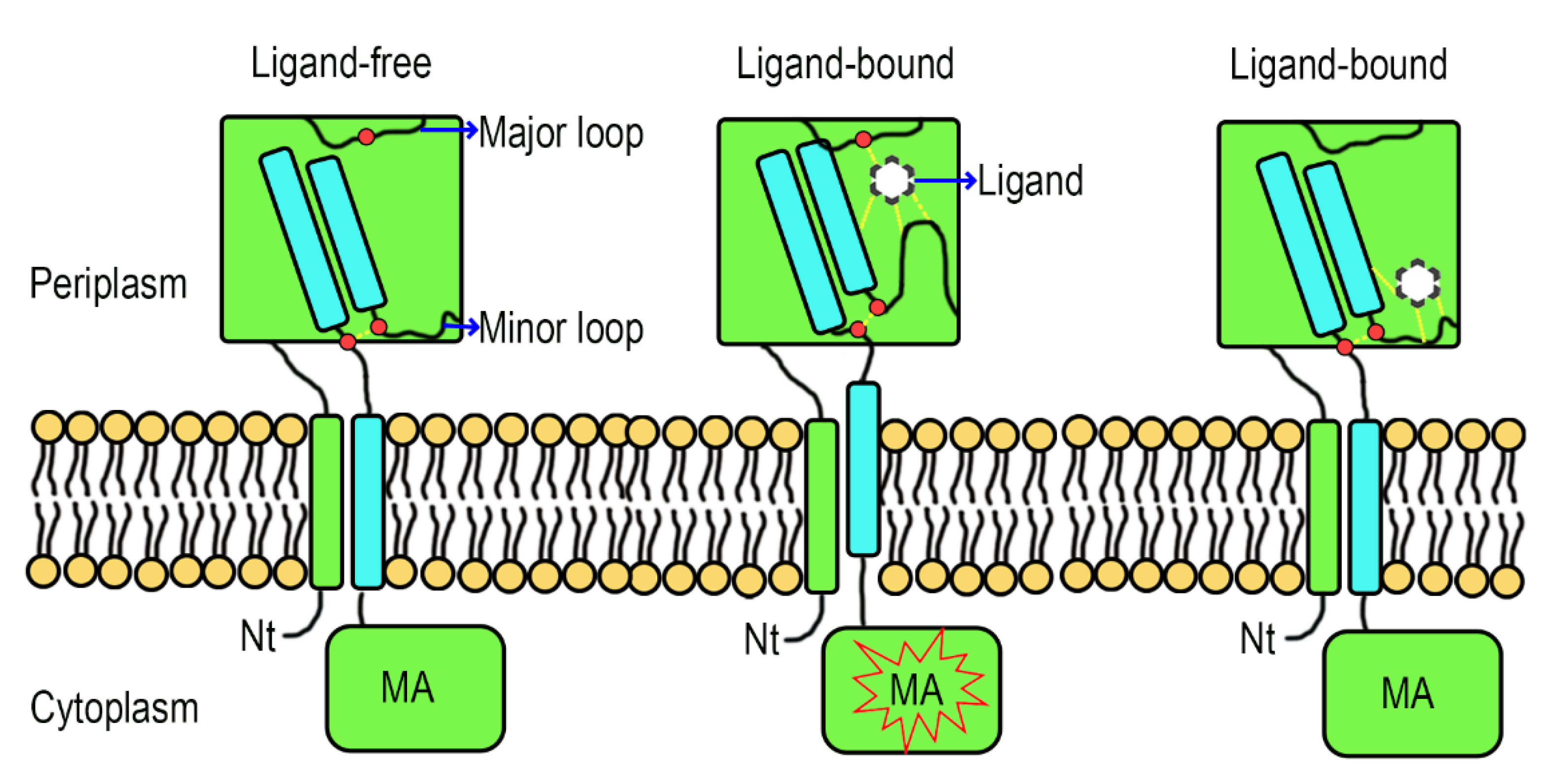 Biology 10 01345 g008