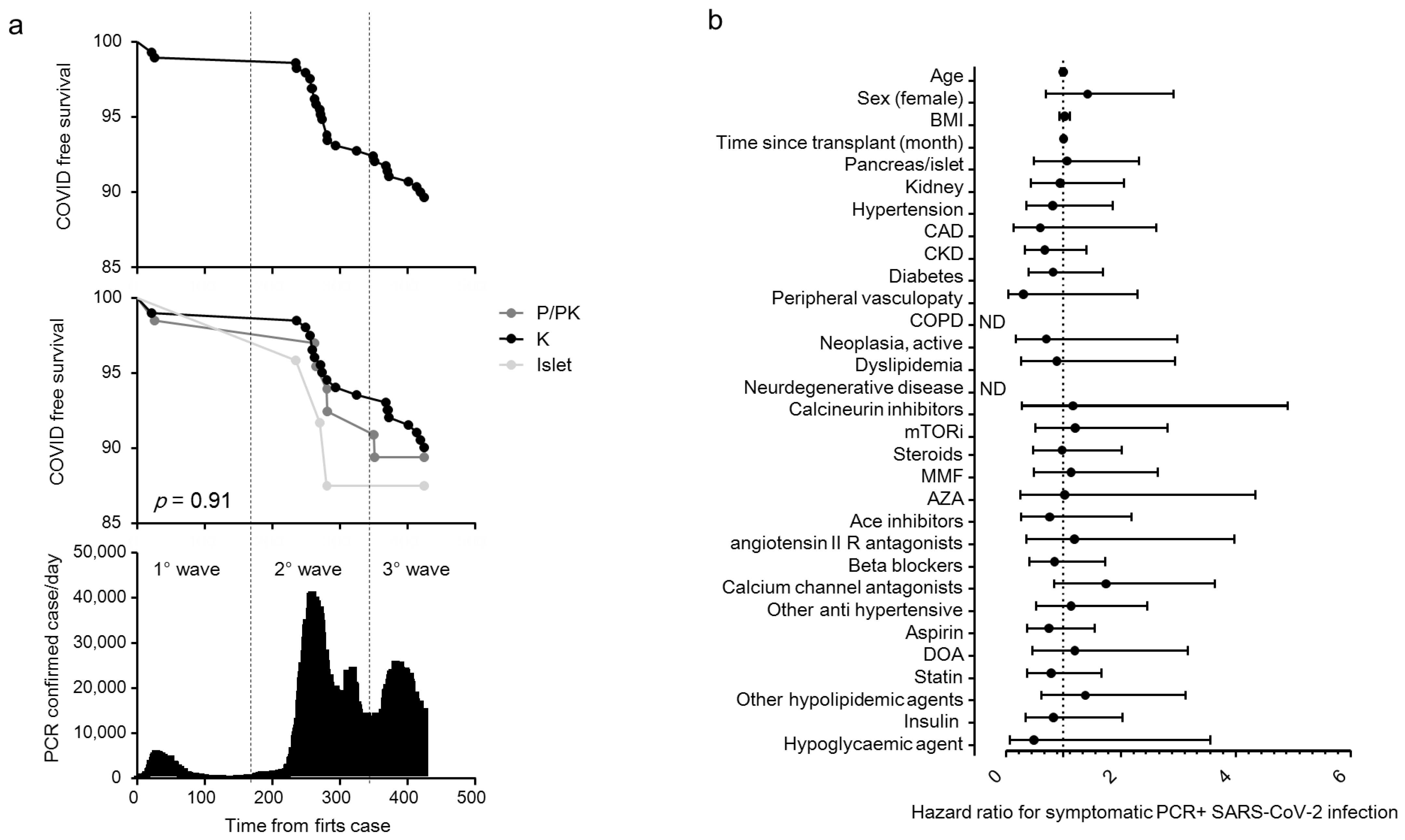 Biology 10 01349 g001 550