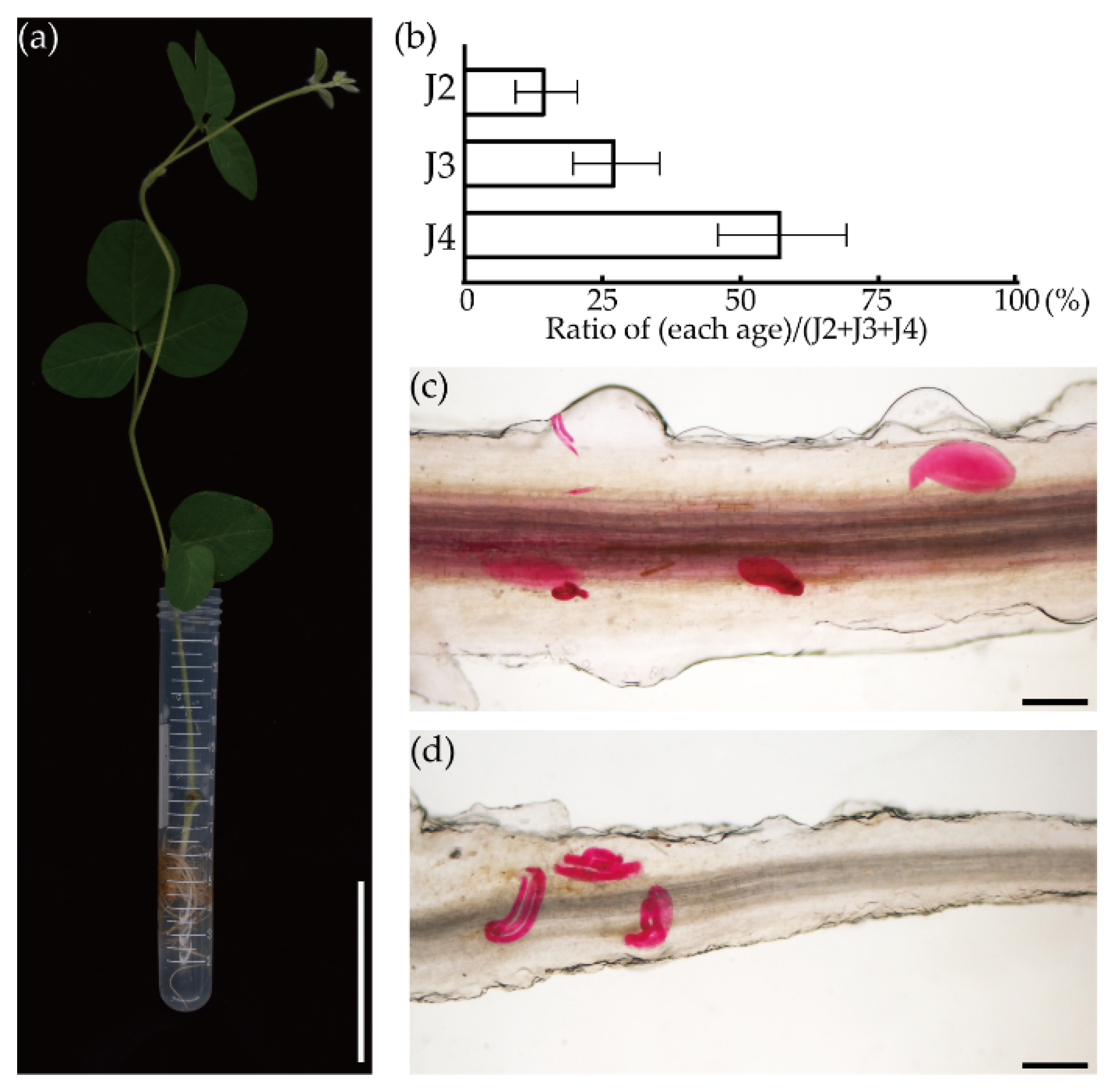 Biology 10 01353 g003