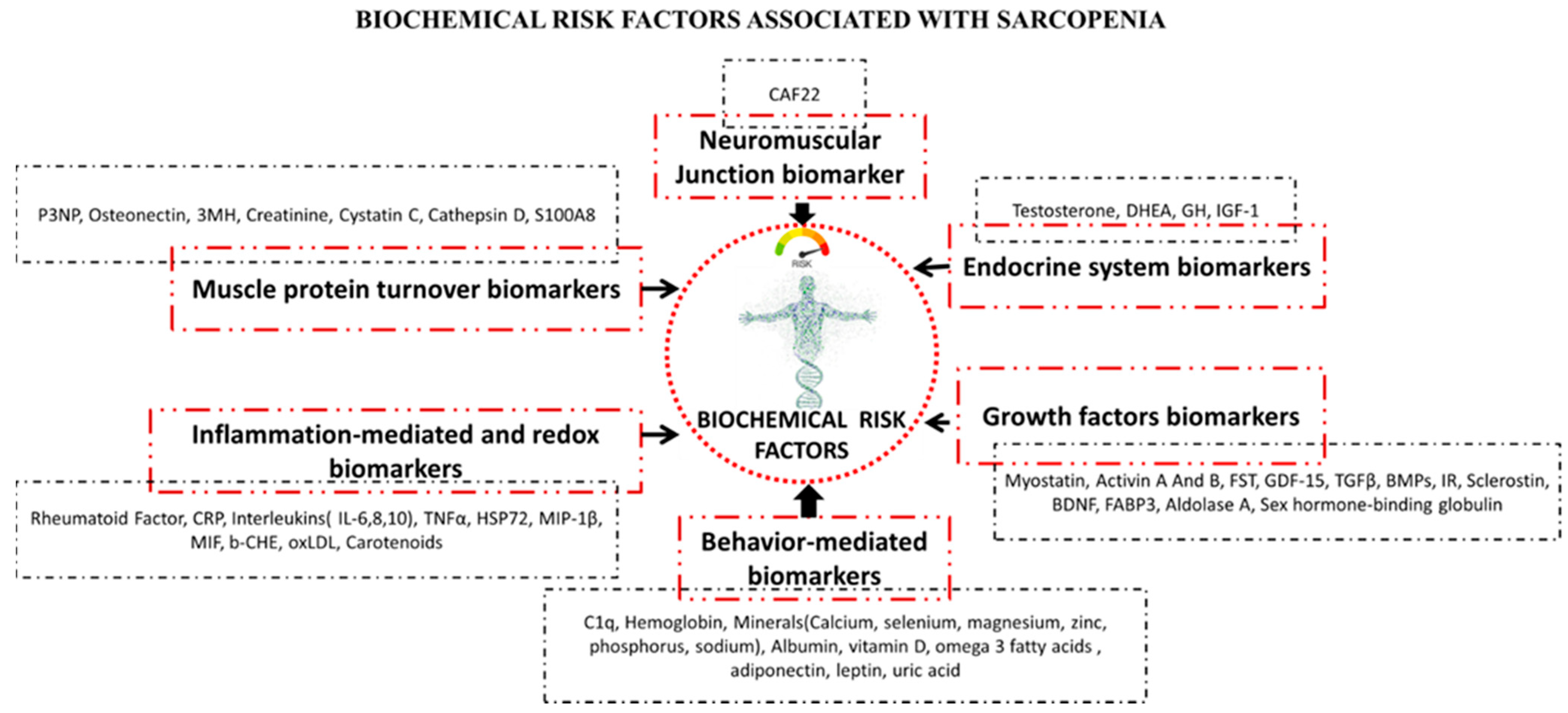 Biology 10 01354 g002