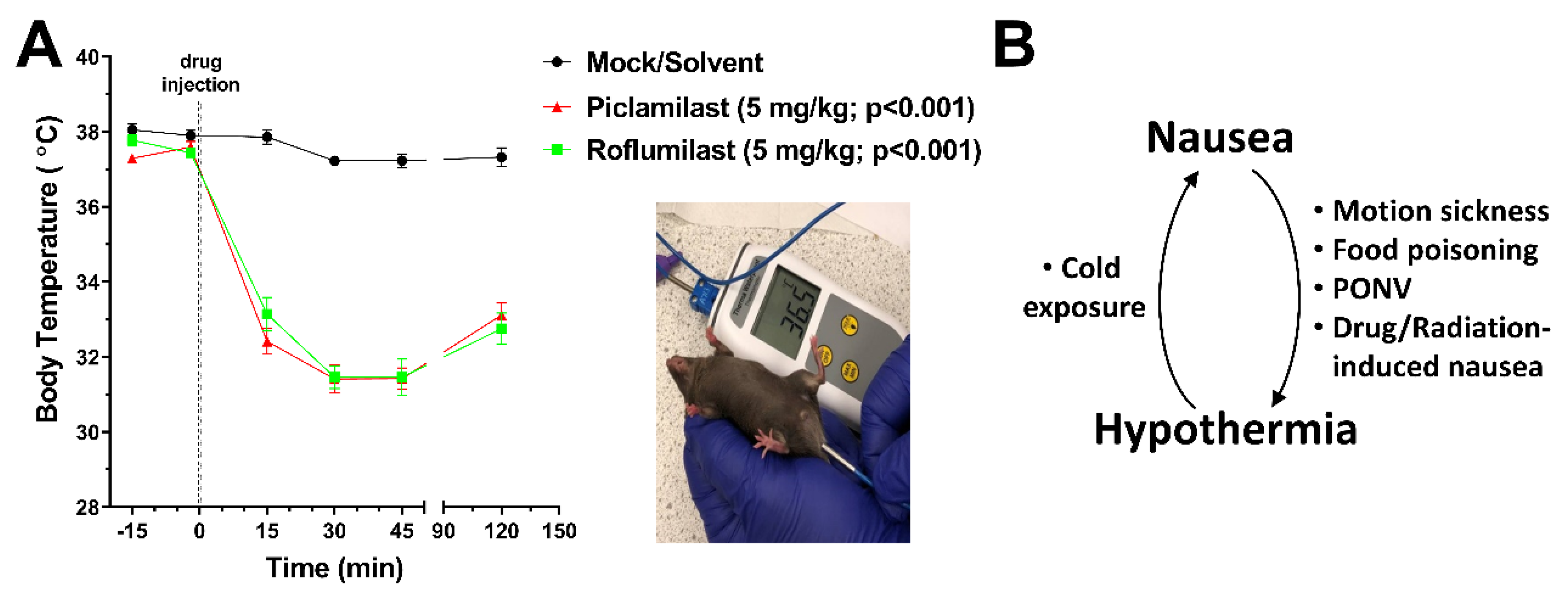 Biology 10 01355 g003