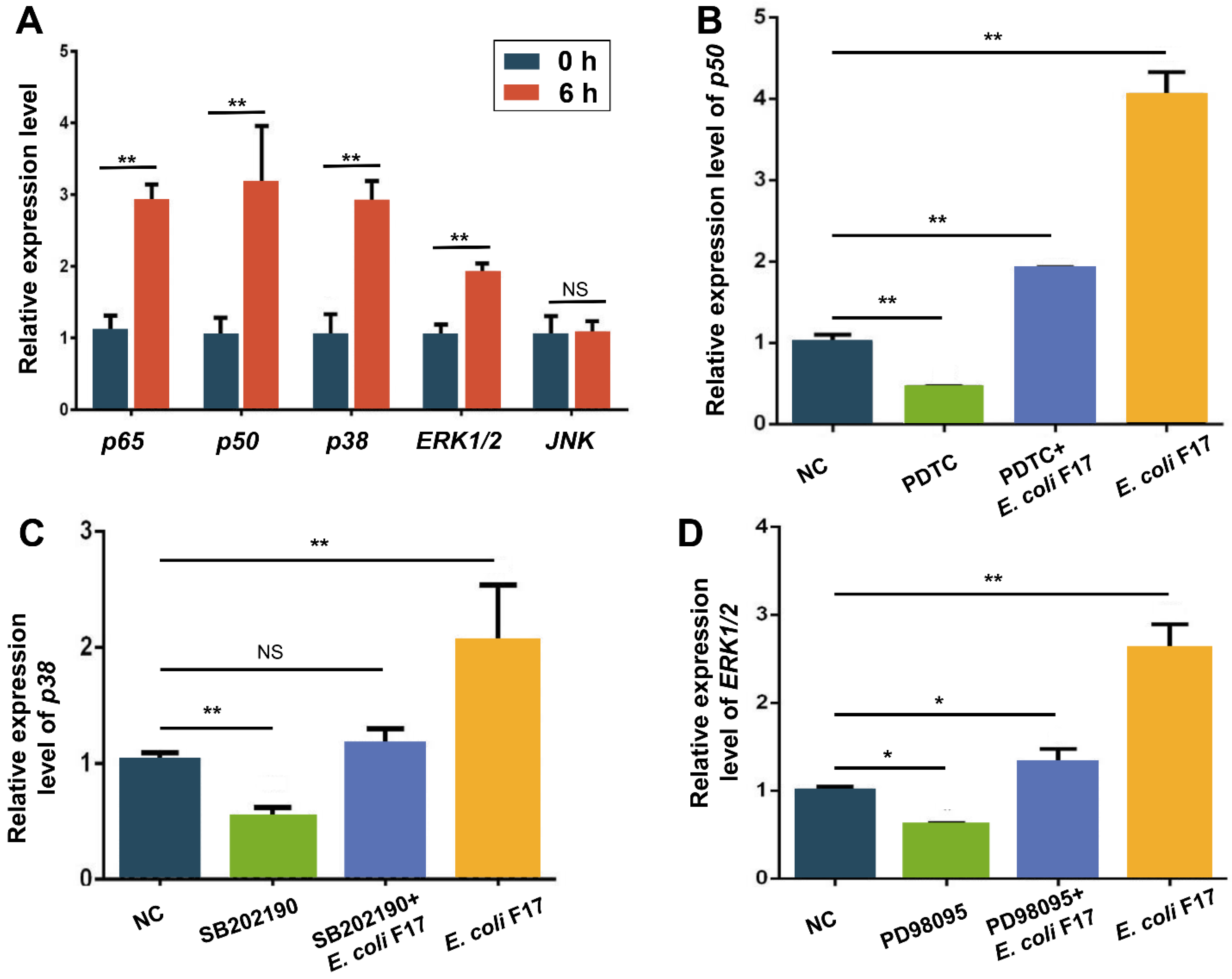 Biology 10 01356 g003