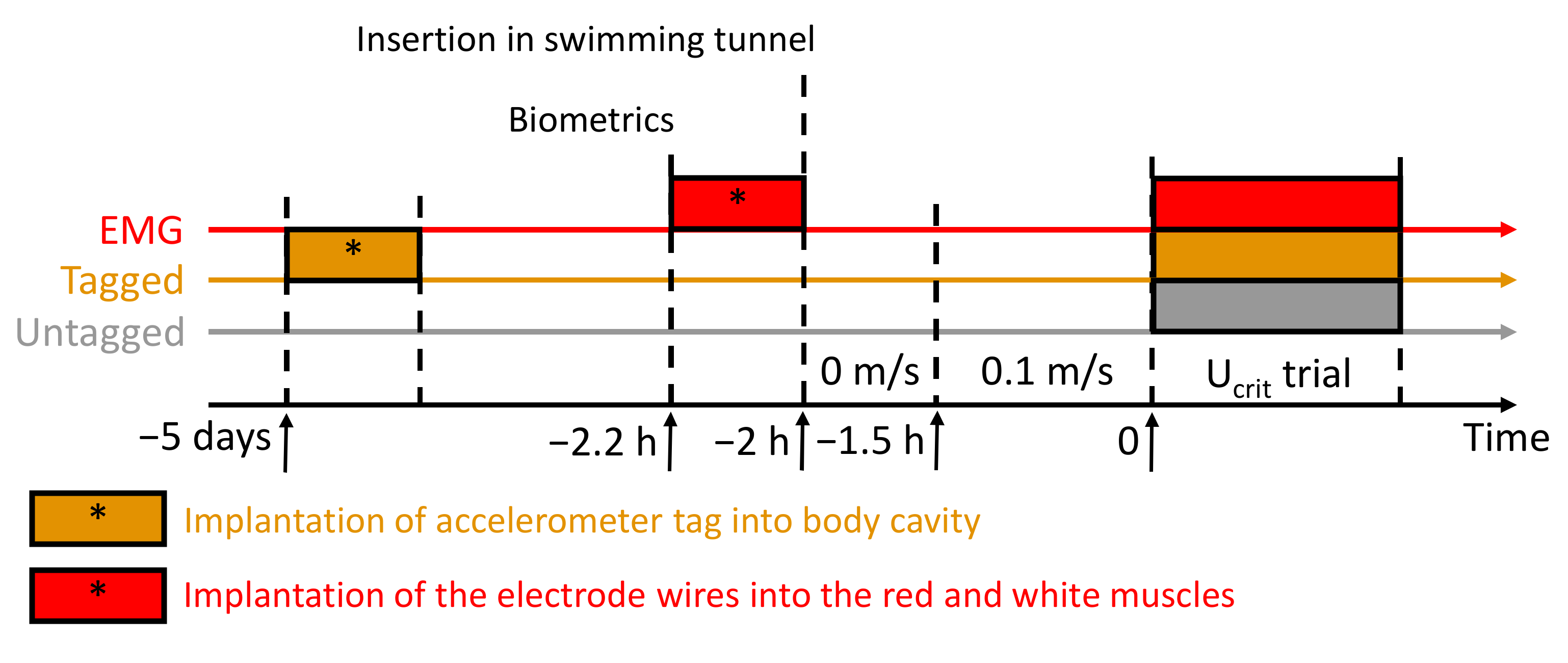 Biology 10 01357 g001 Biology 10 01357 g001
