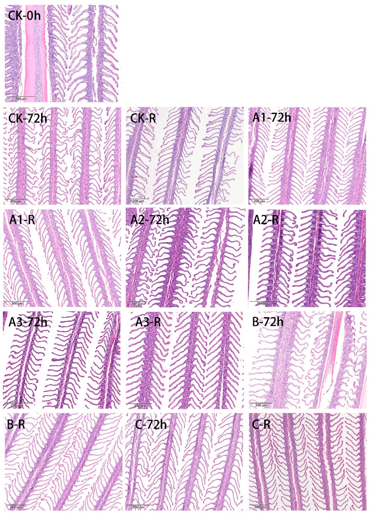 Biology 11 00011 g001 Biology 11 00011 g001