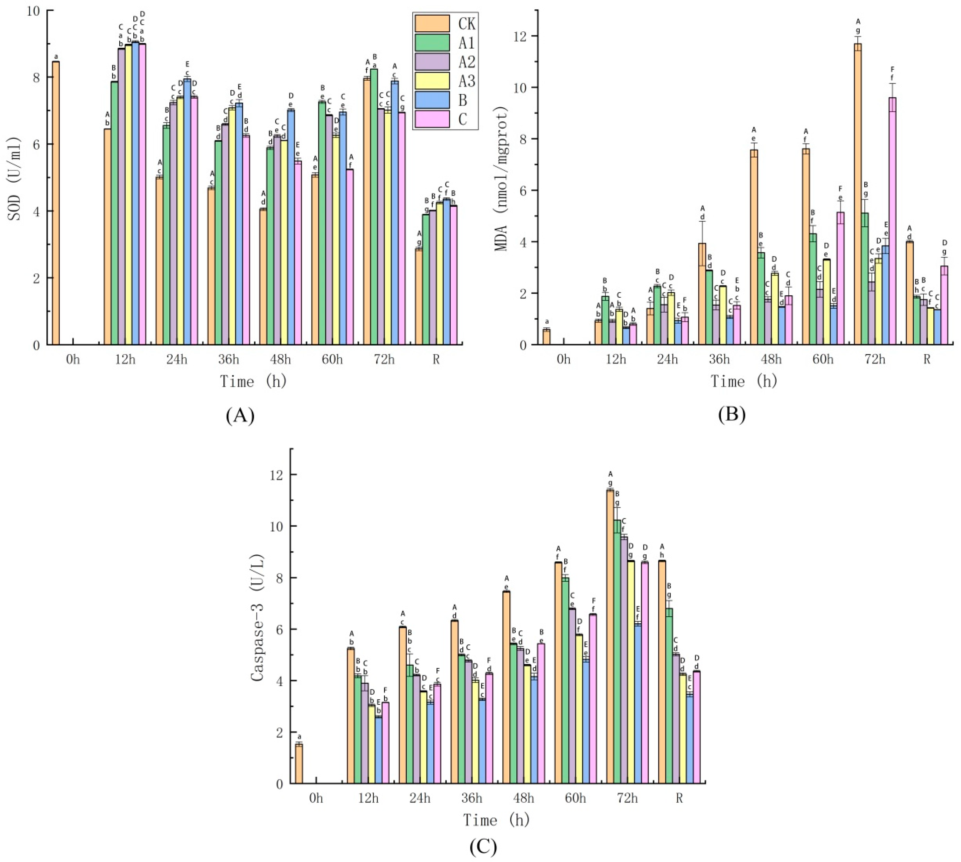 Biology 11 00011 g004 Biology 11 00011 g004