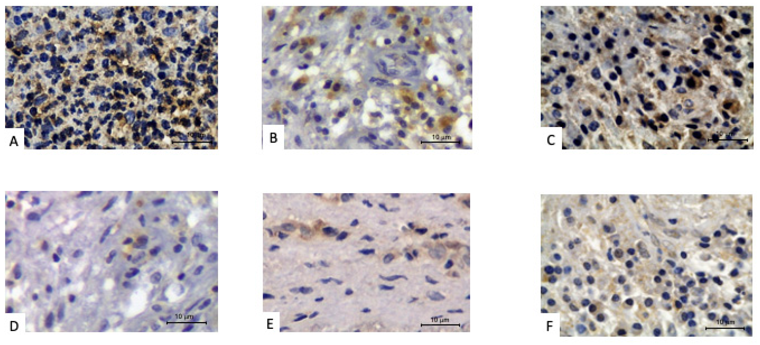 Biology 11 00014 g001