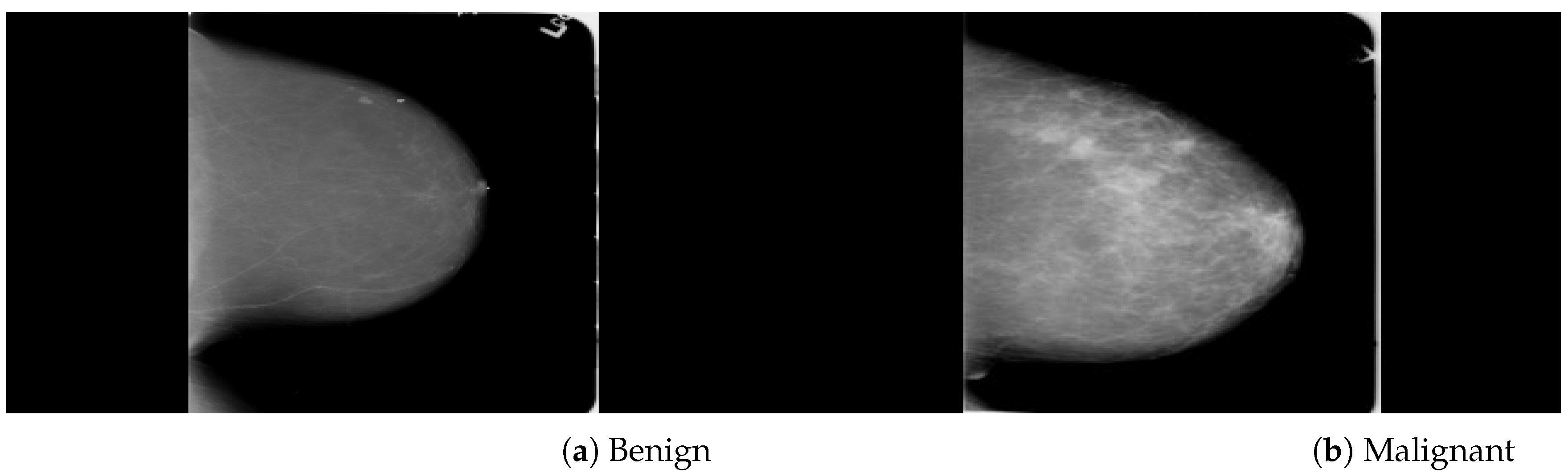 Biology 11 00015 g002