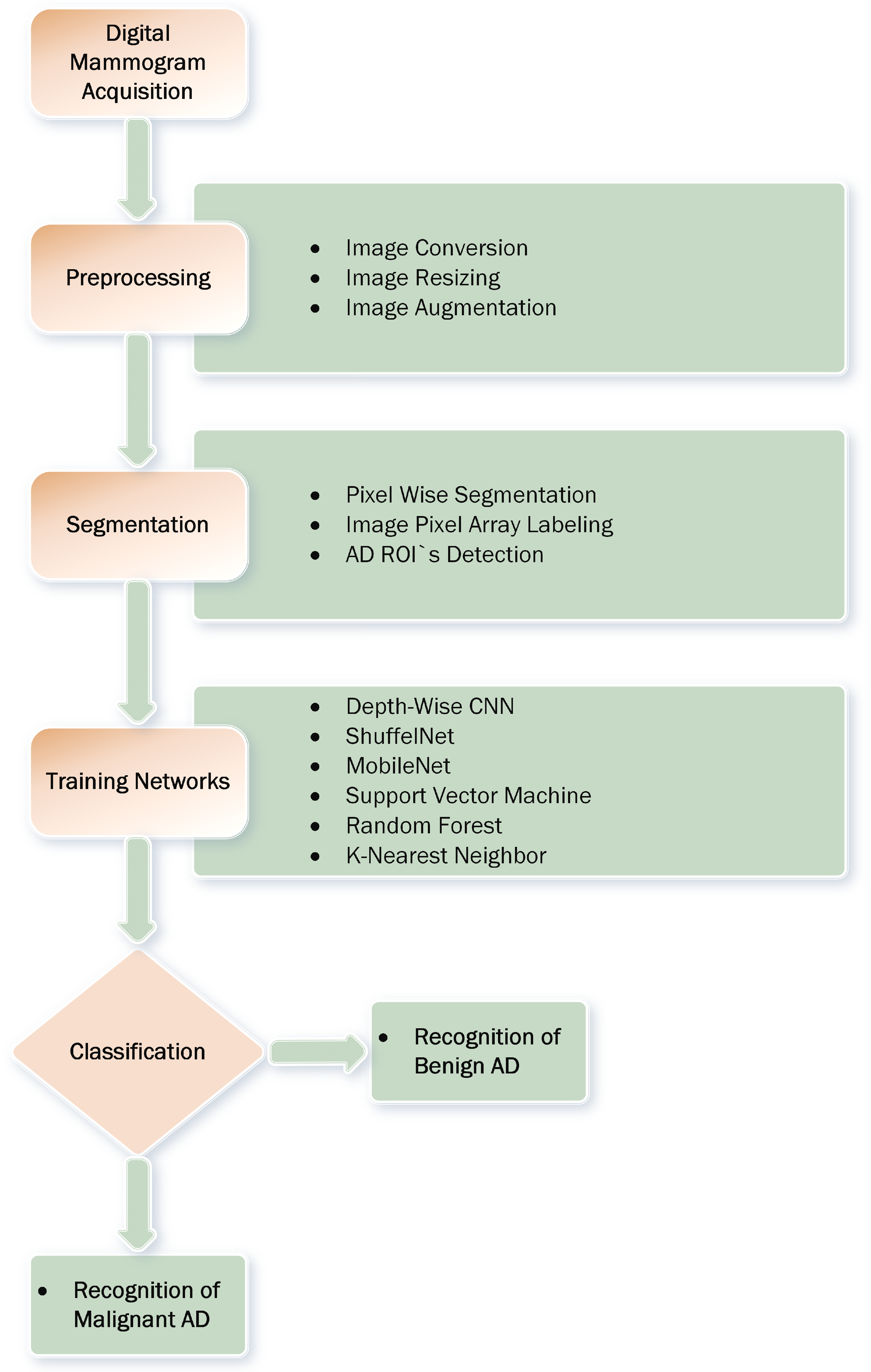 Biology 11 00015 g004