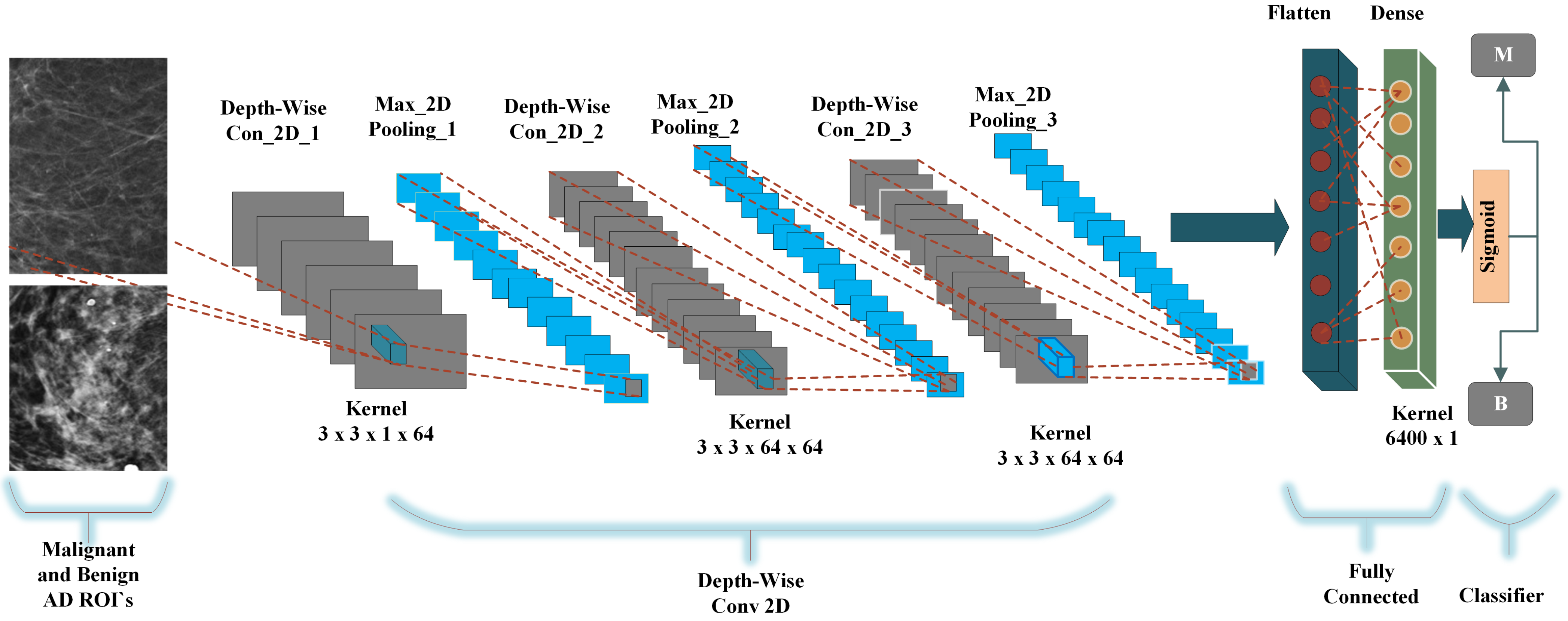 Biology 11 00015 g009