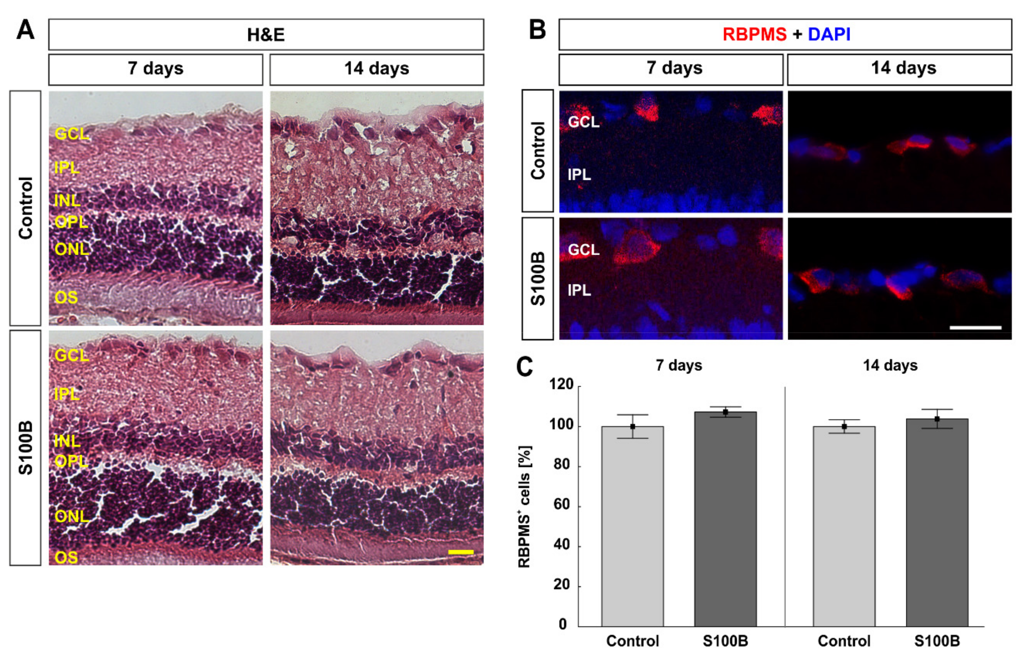 Biology 11 00016 g005 Biology 11 00016 g005