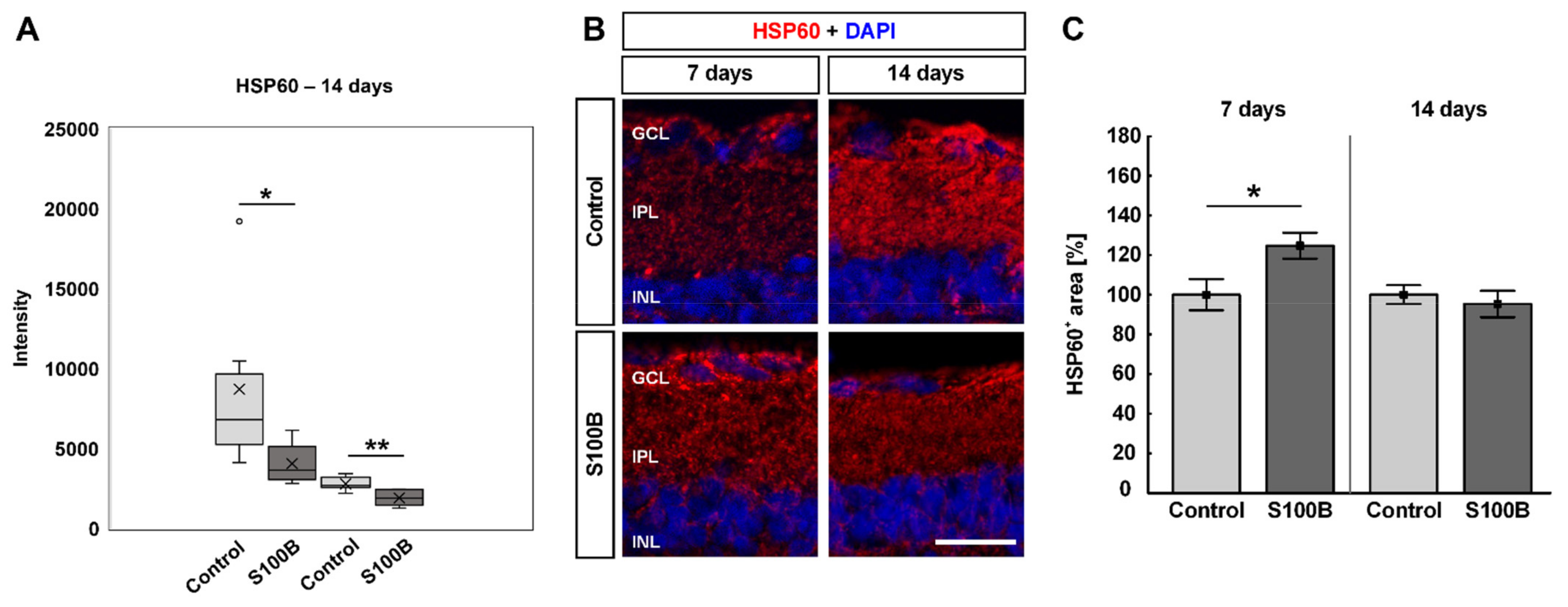 Biology 11 00016 g007 Biology 11 00016 g007