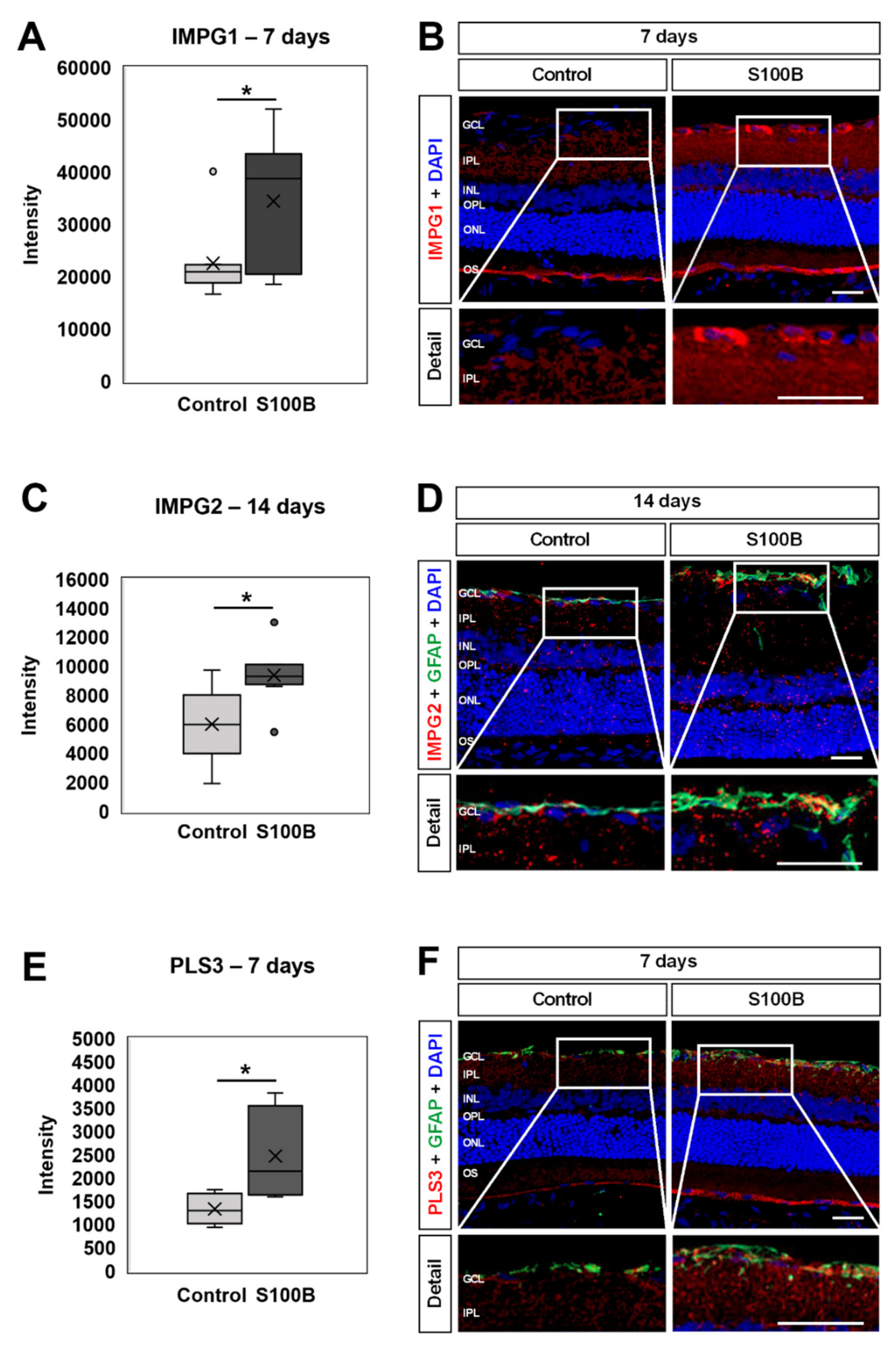 Biology 11 00016 g009 Biology 11 00016 g009