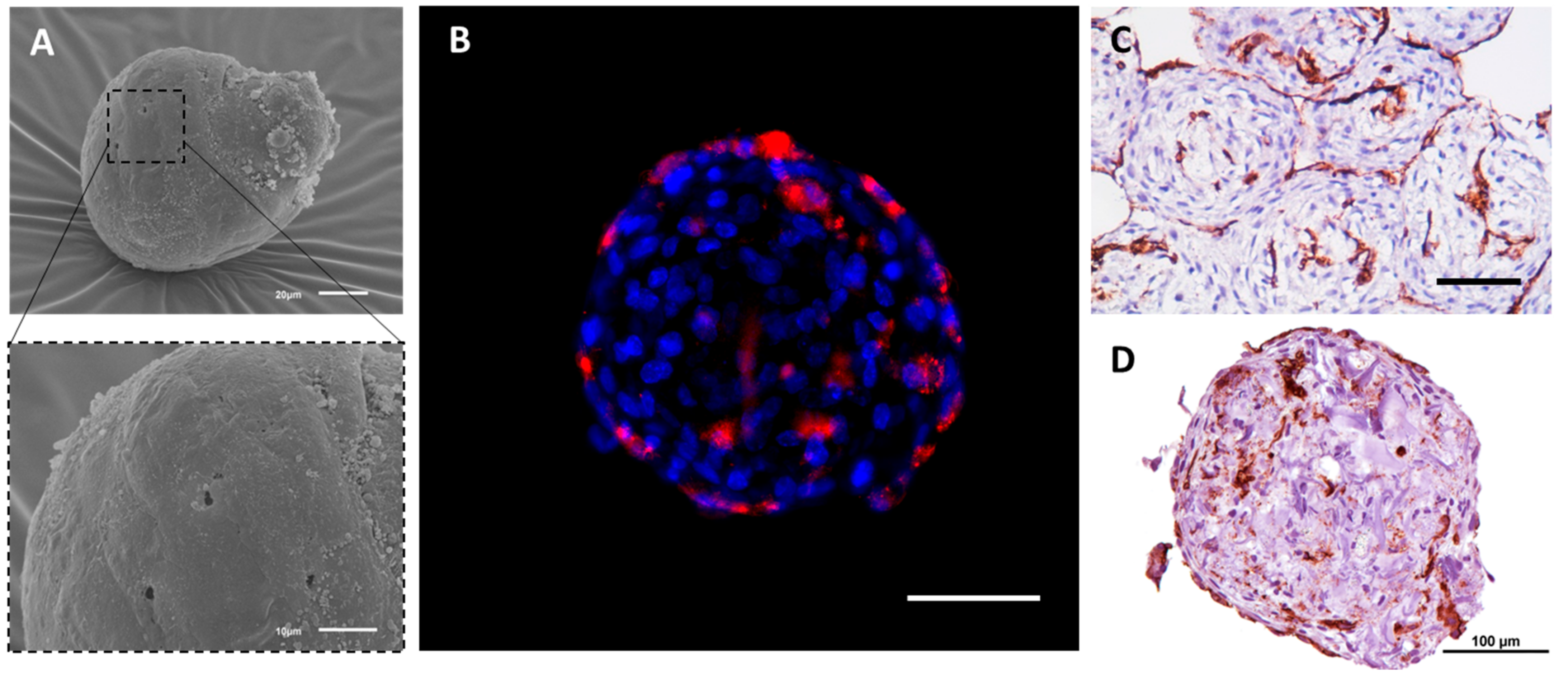 Biology 11 00018 g002 550
