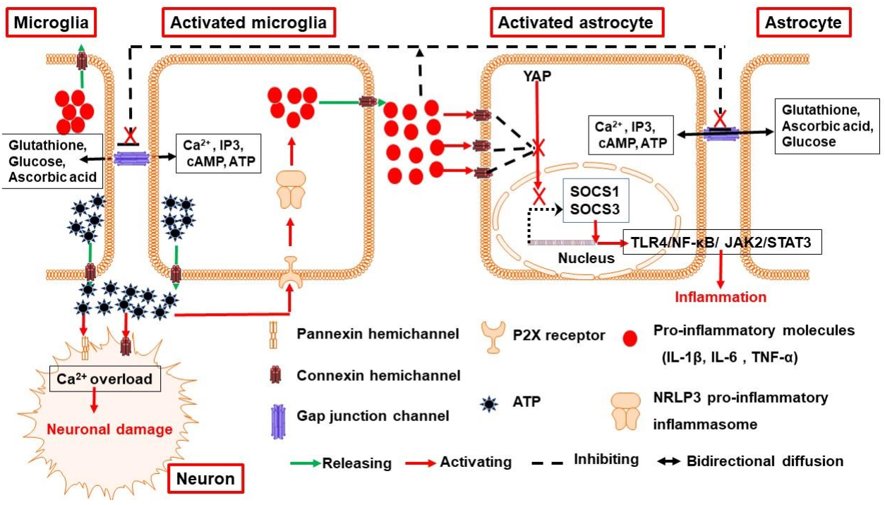 Biology 11 00027 g001