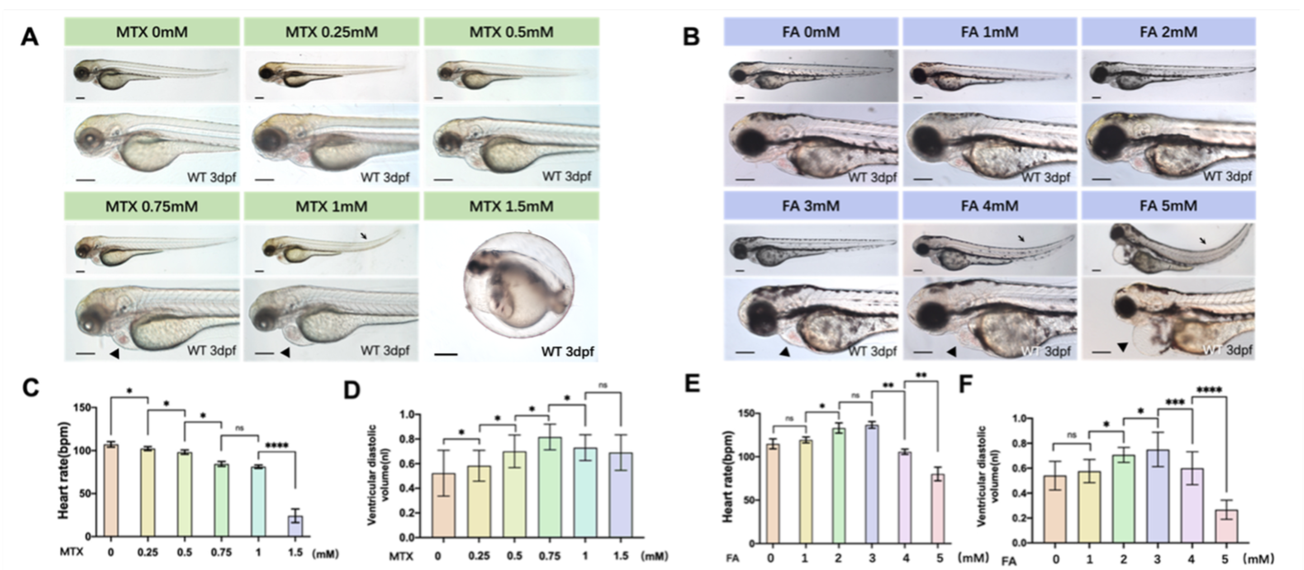 Biology 11 00028 g001 550