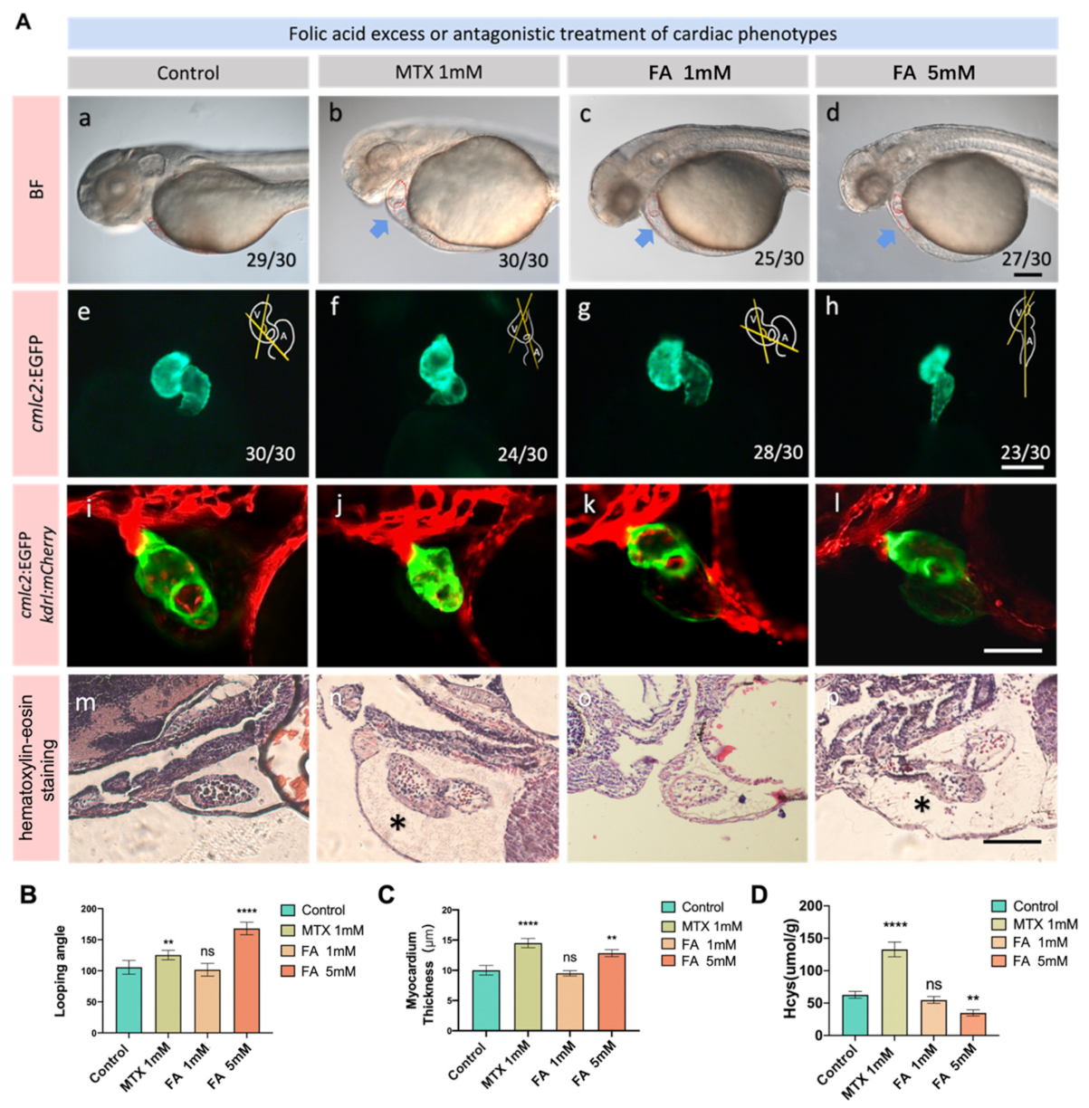 Biology 11 00028 g002 550