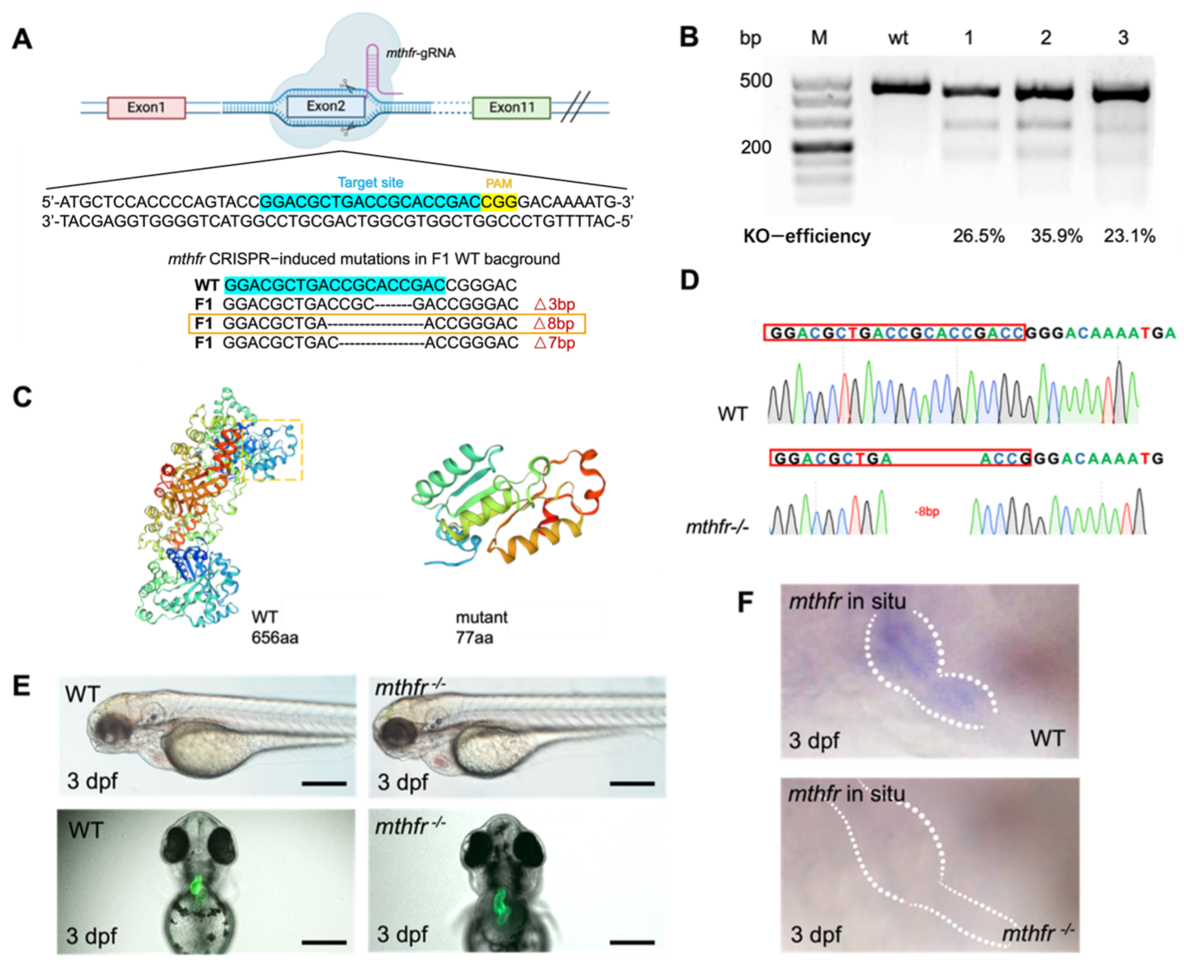 Biology 11 00028 g004 550