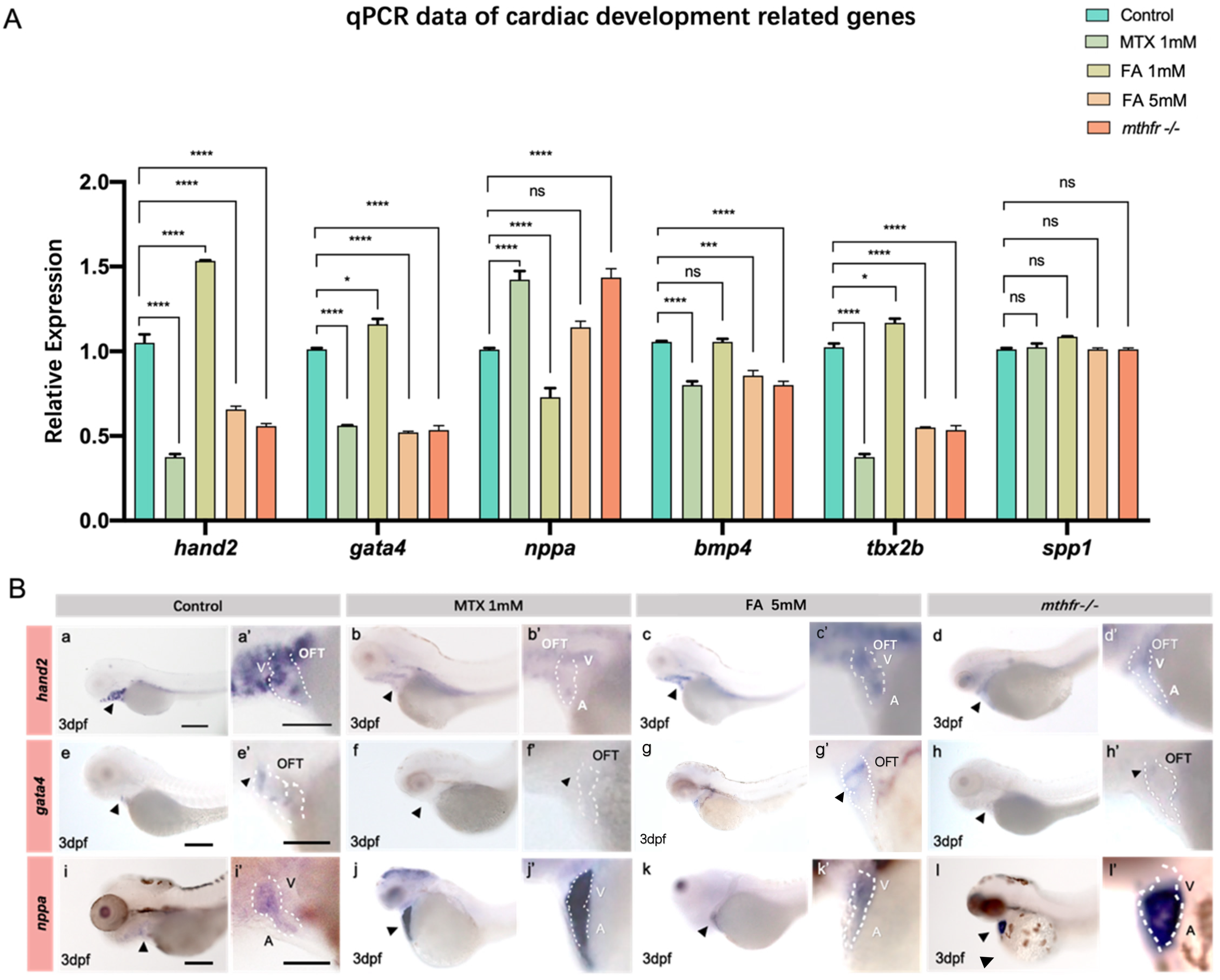Biology 11 00028 g005 550