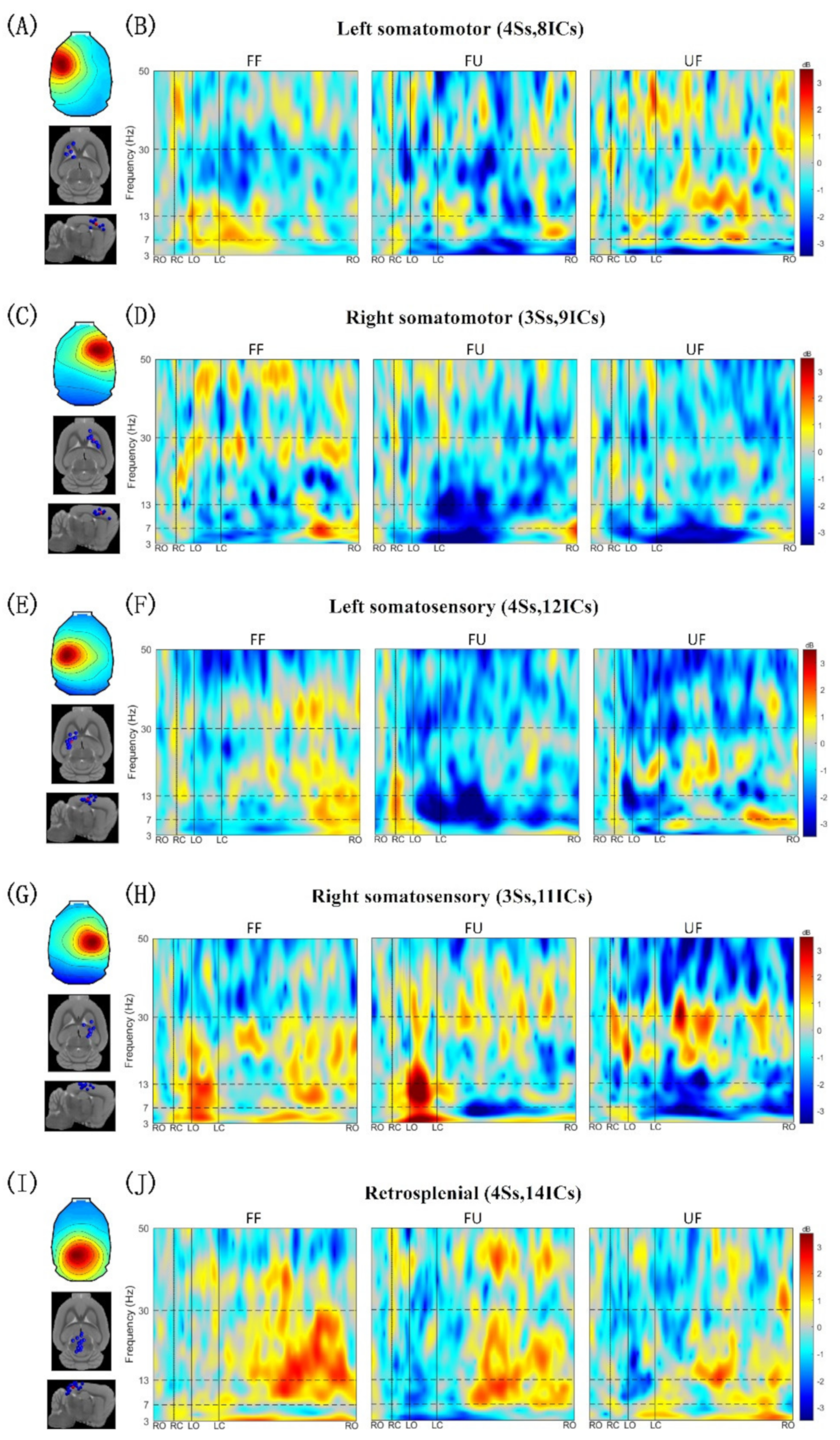 Biology 11 00036 g004 Biology 11 00036 g004