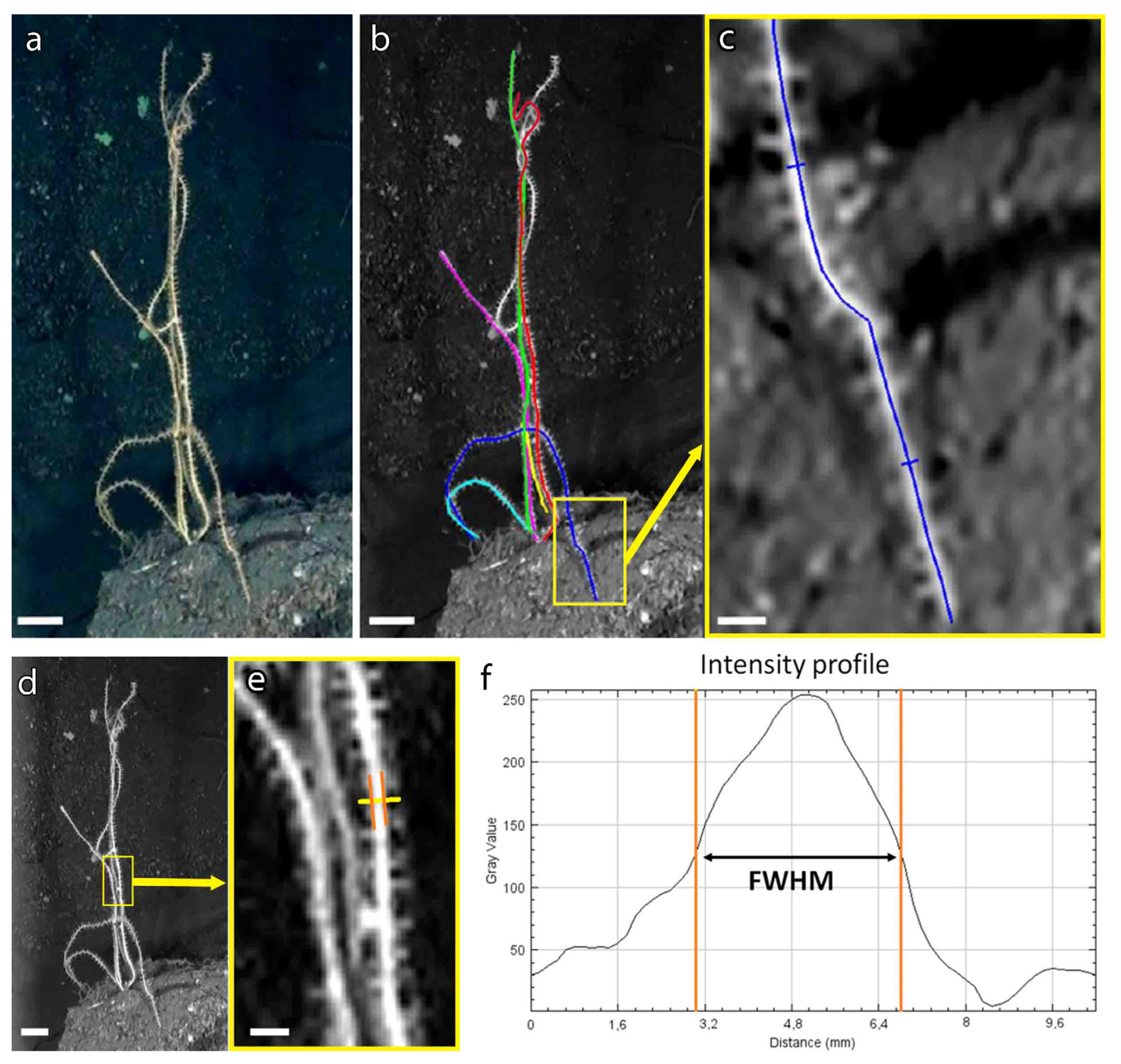 Biology 11 00039 g001 Biology 11 00039 g001
