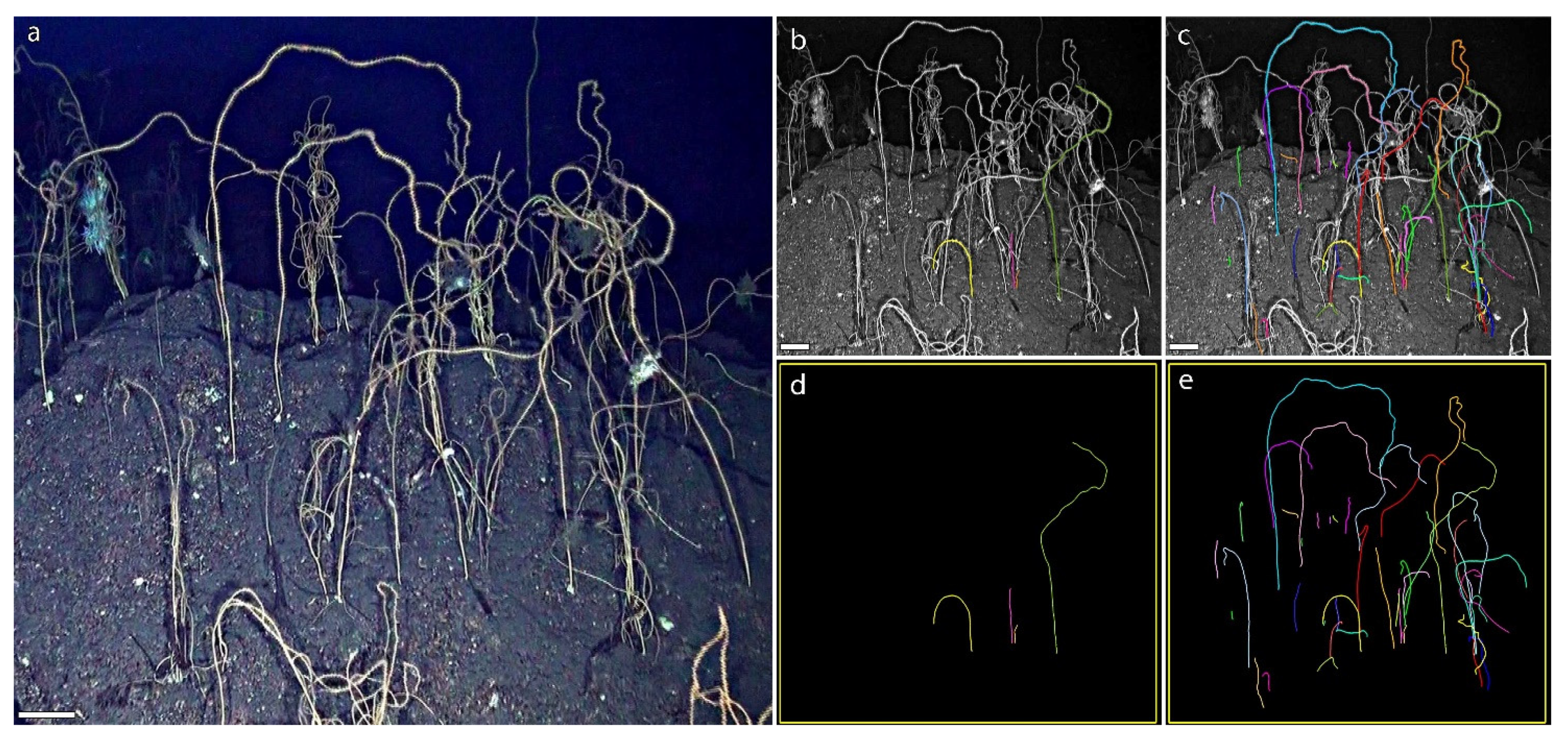 Biology 11 00039 g003 Biology 11 00039 g003