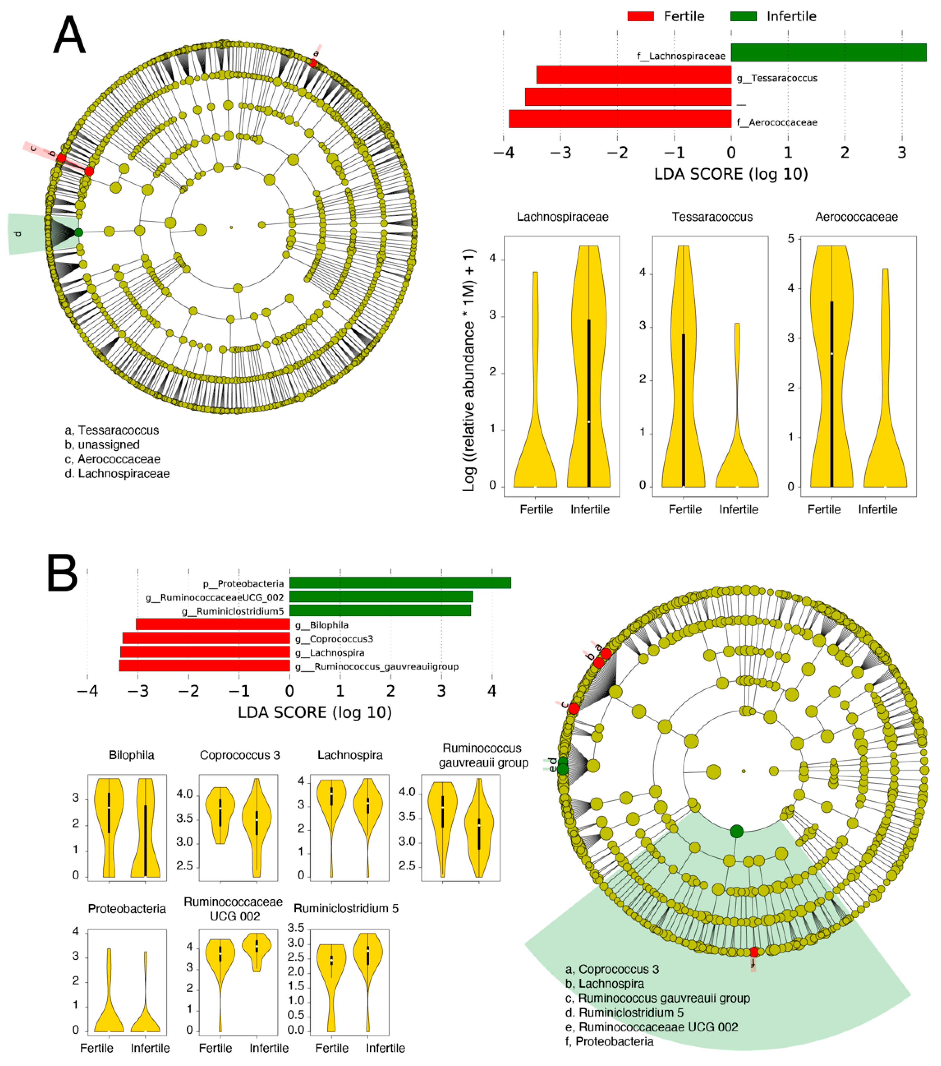 Biology 11 00040 g004