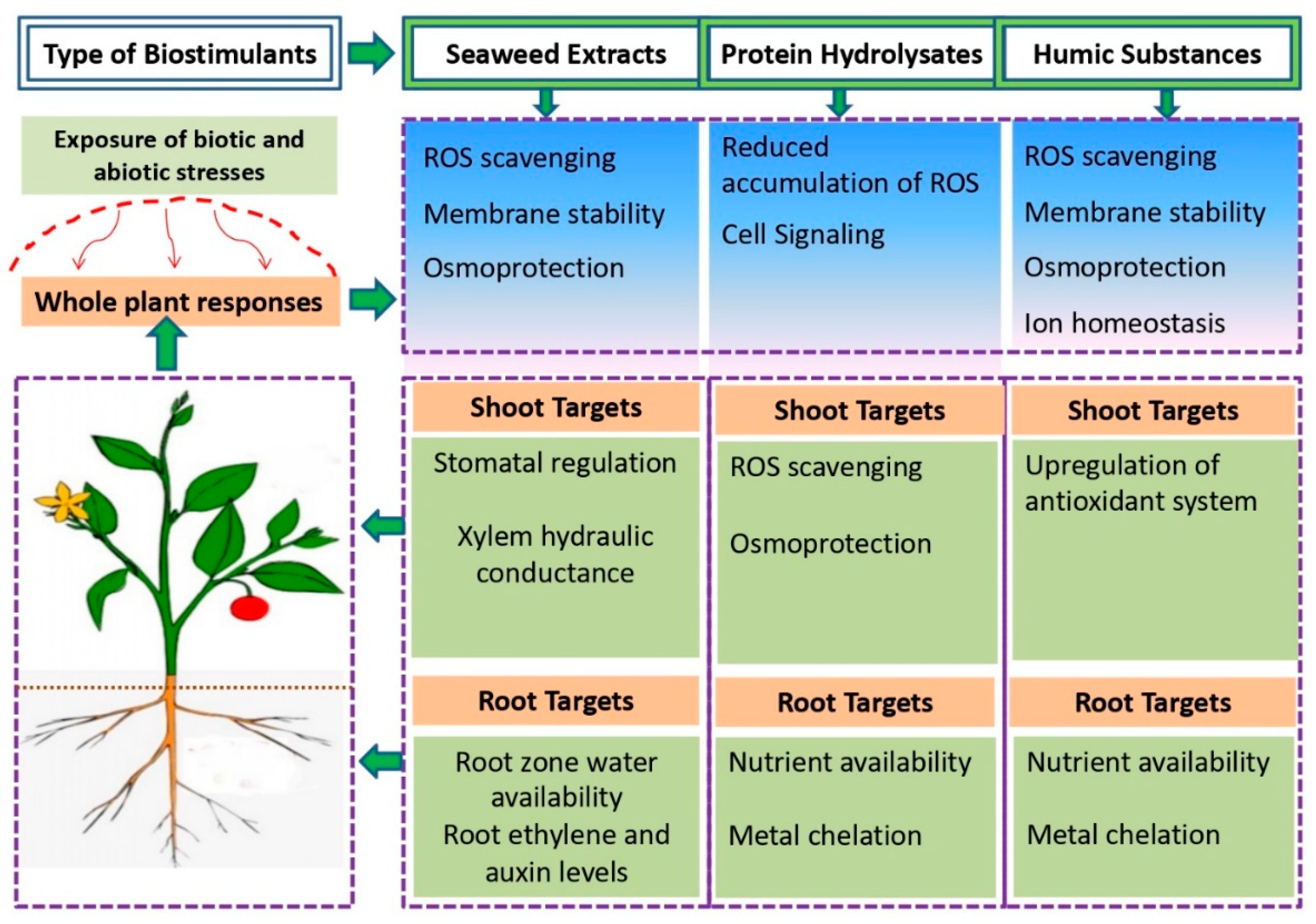 Biology 11 00041 g002 Biology 11 00041 g002