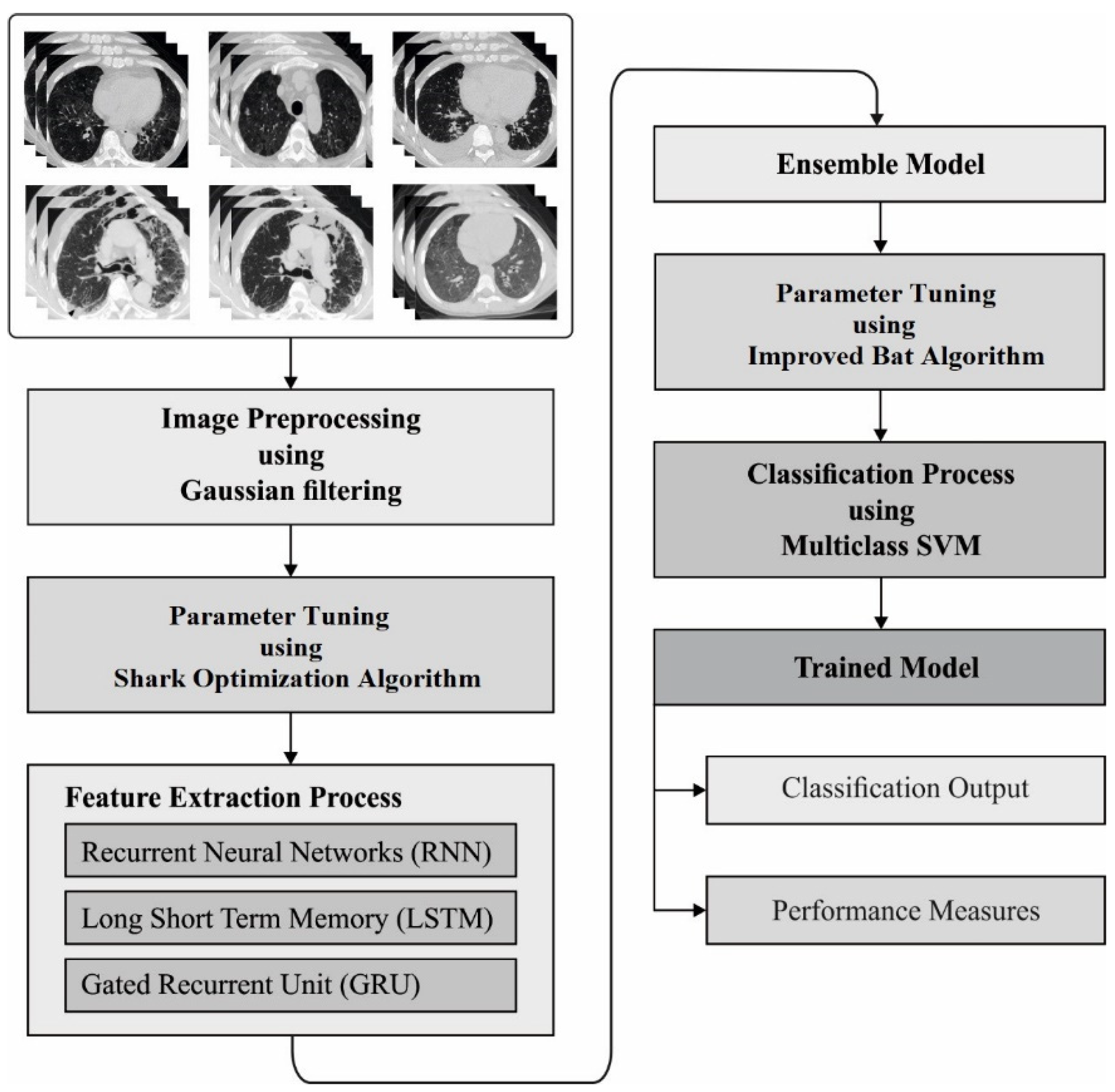 Biology 11 00043 g001 550