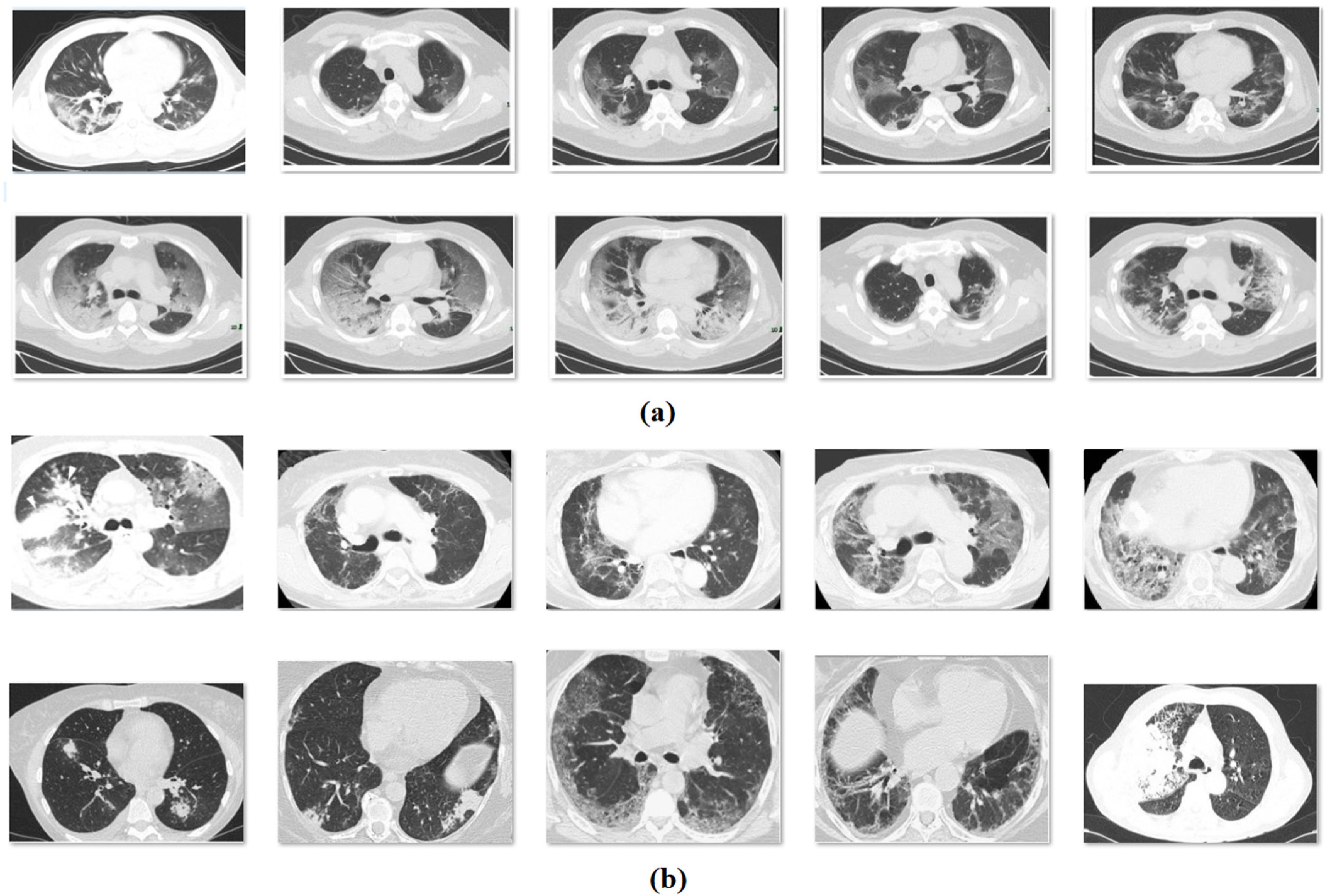 Biology 11 00043 g003 550