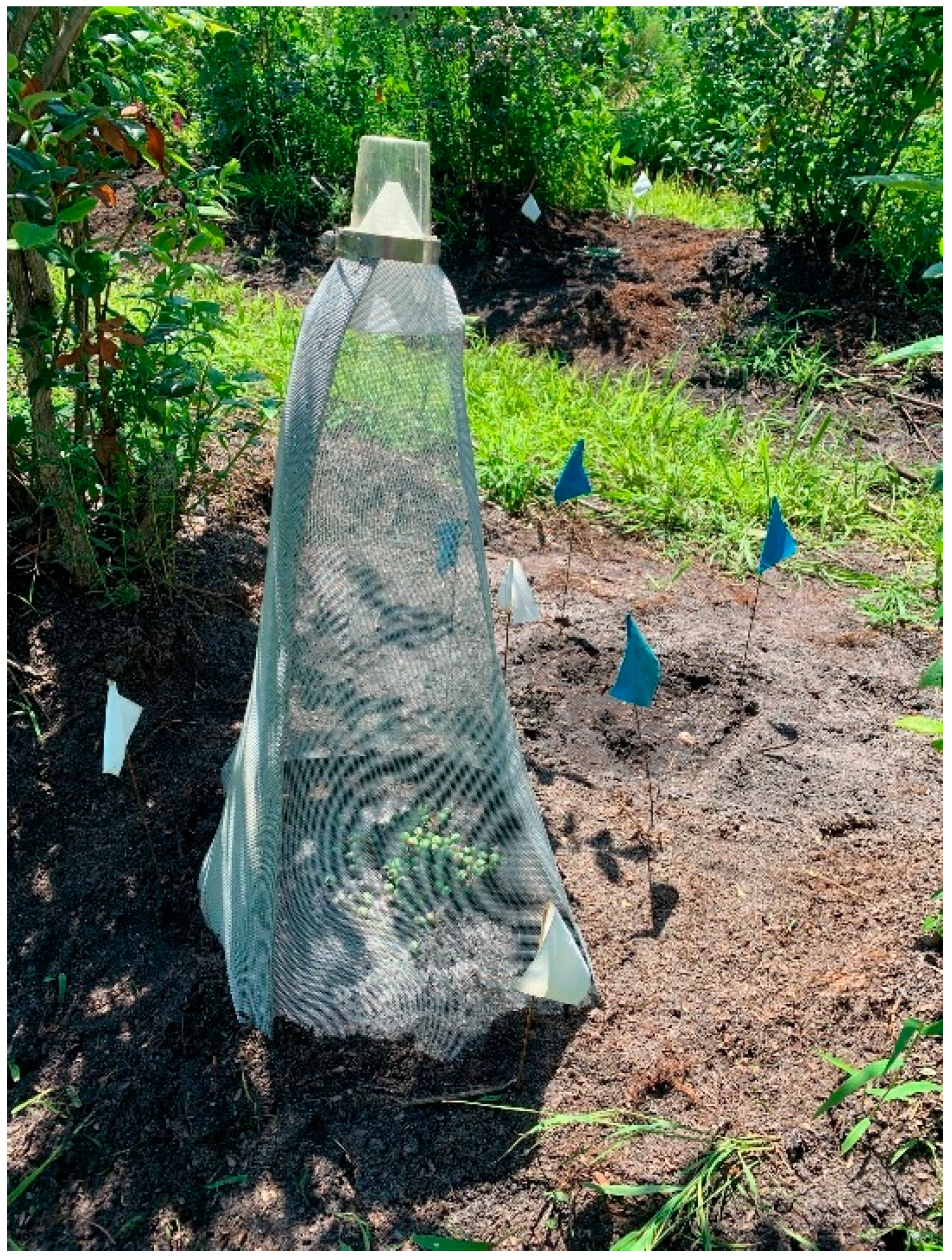 Biology 11 00045 g001