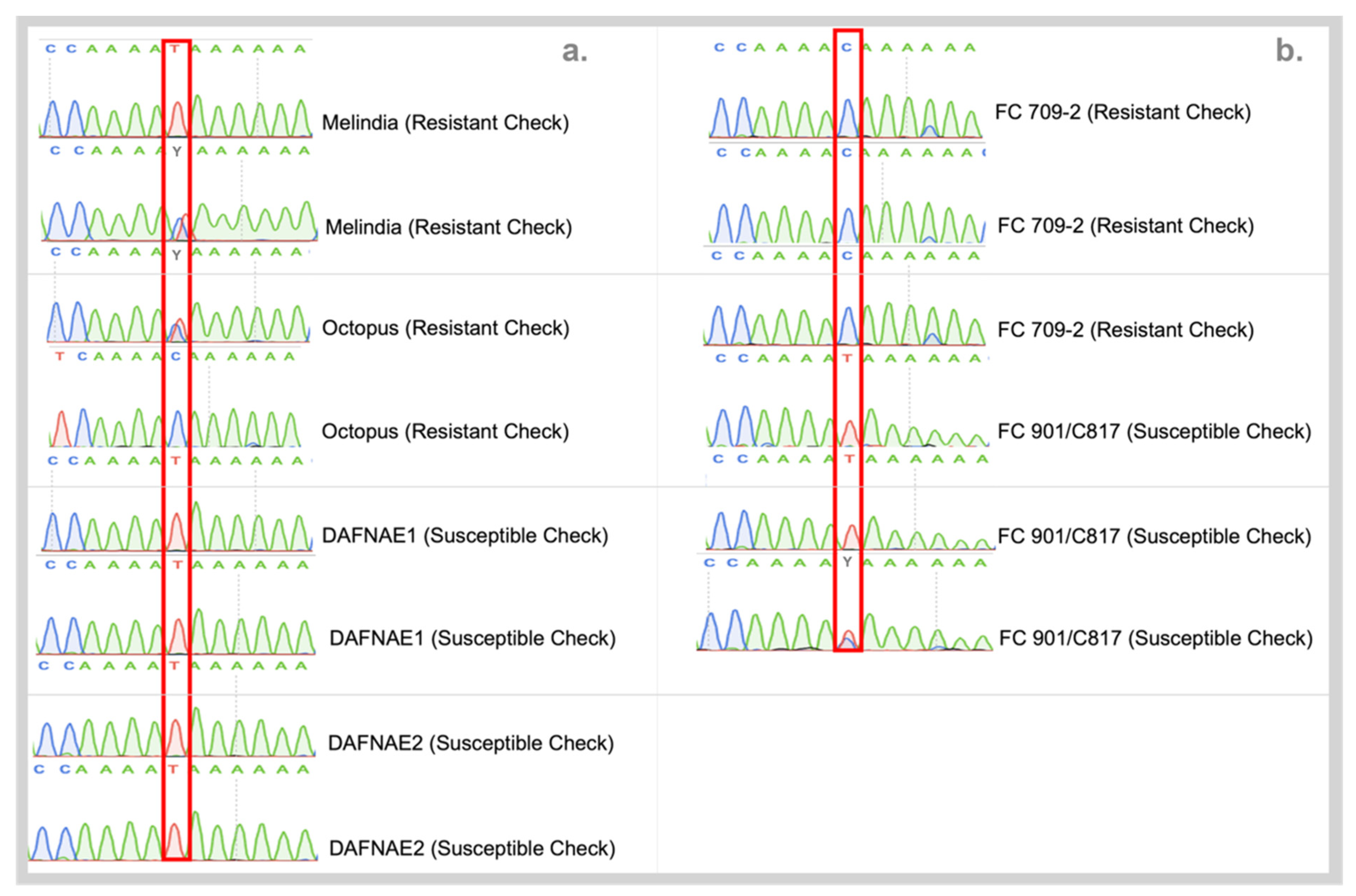 Biology 11 00049 g005 550