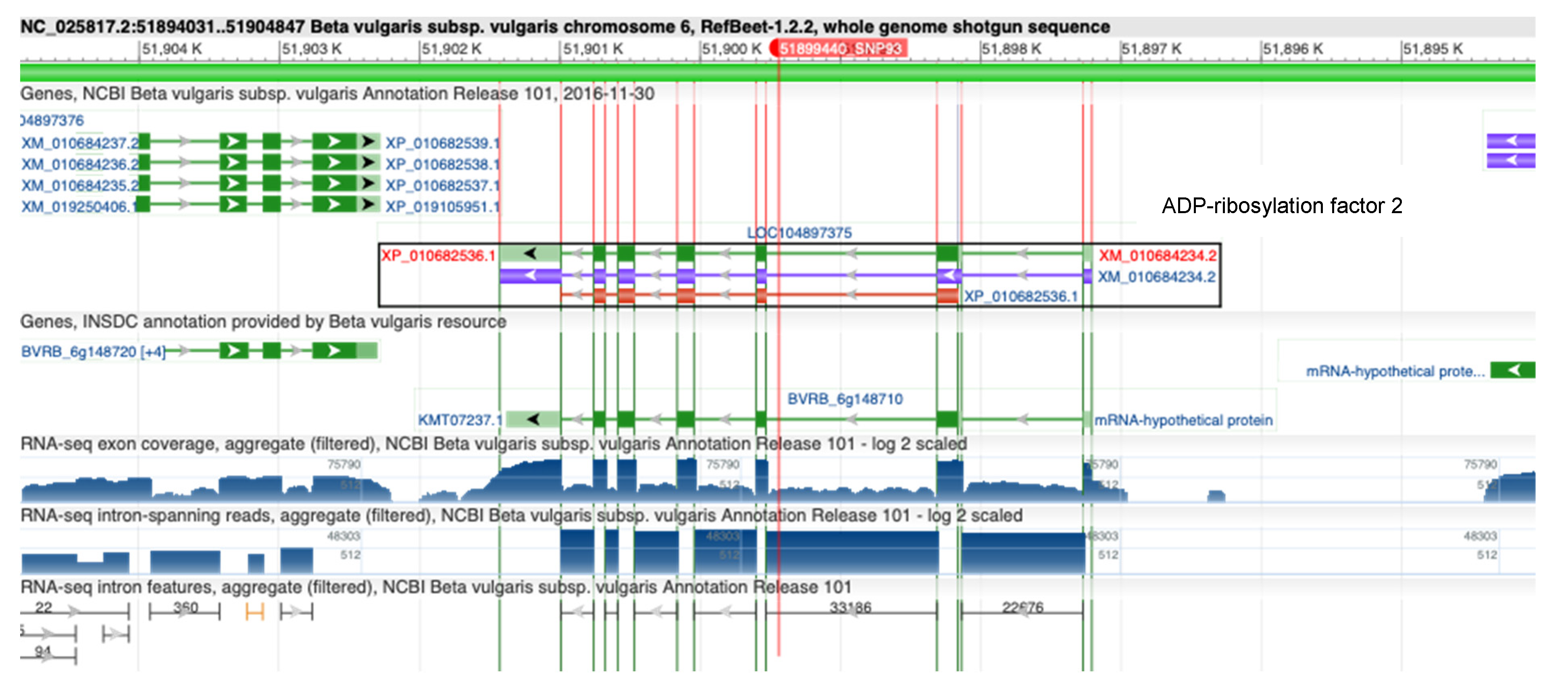 Biology 11 00049 g007 550