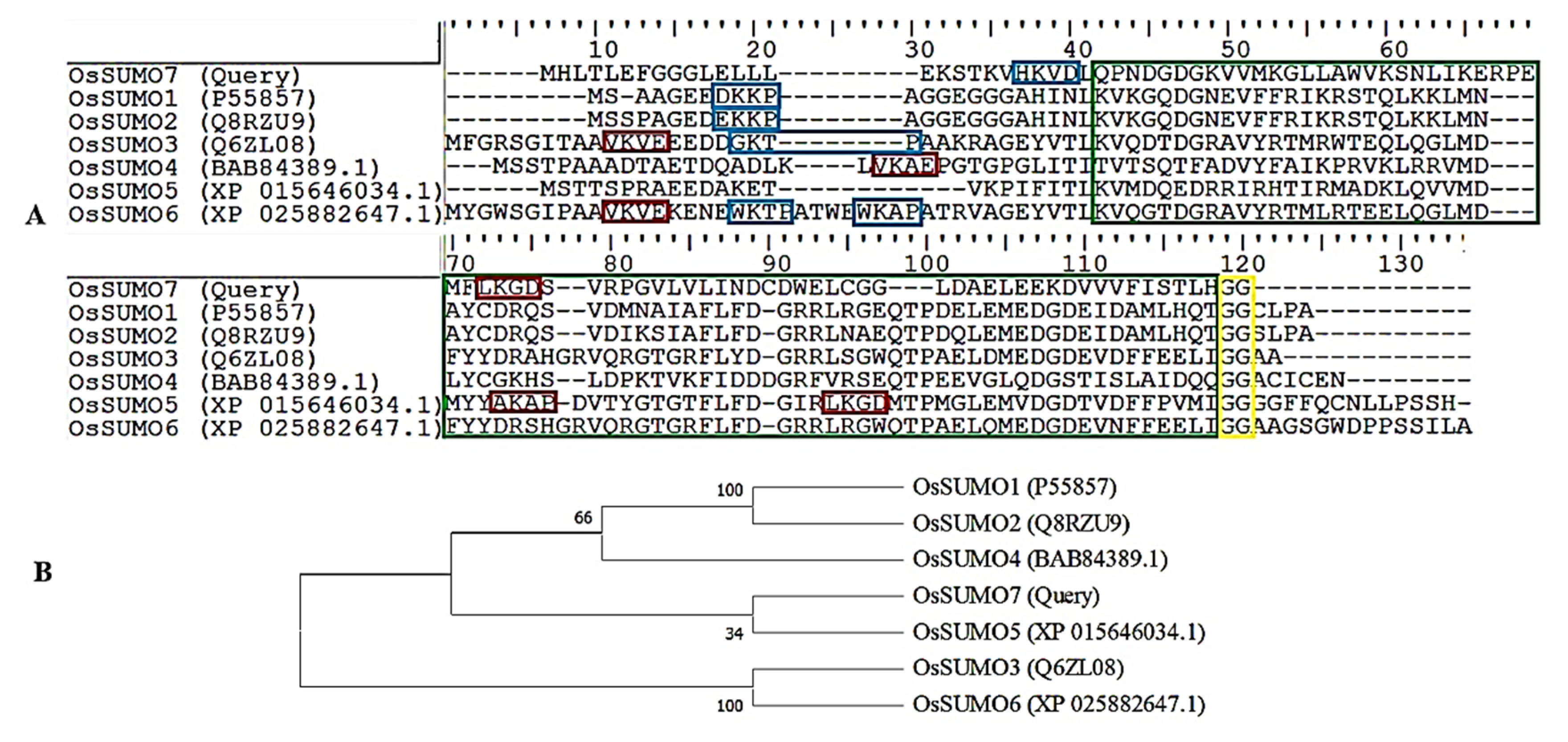 Biology 11 00053 g002