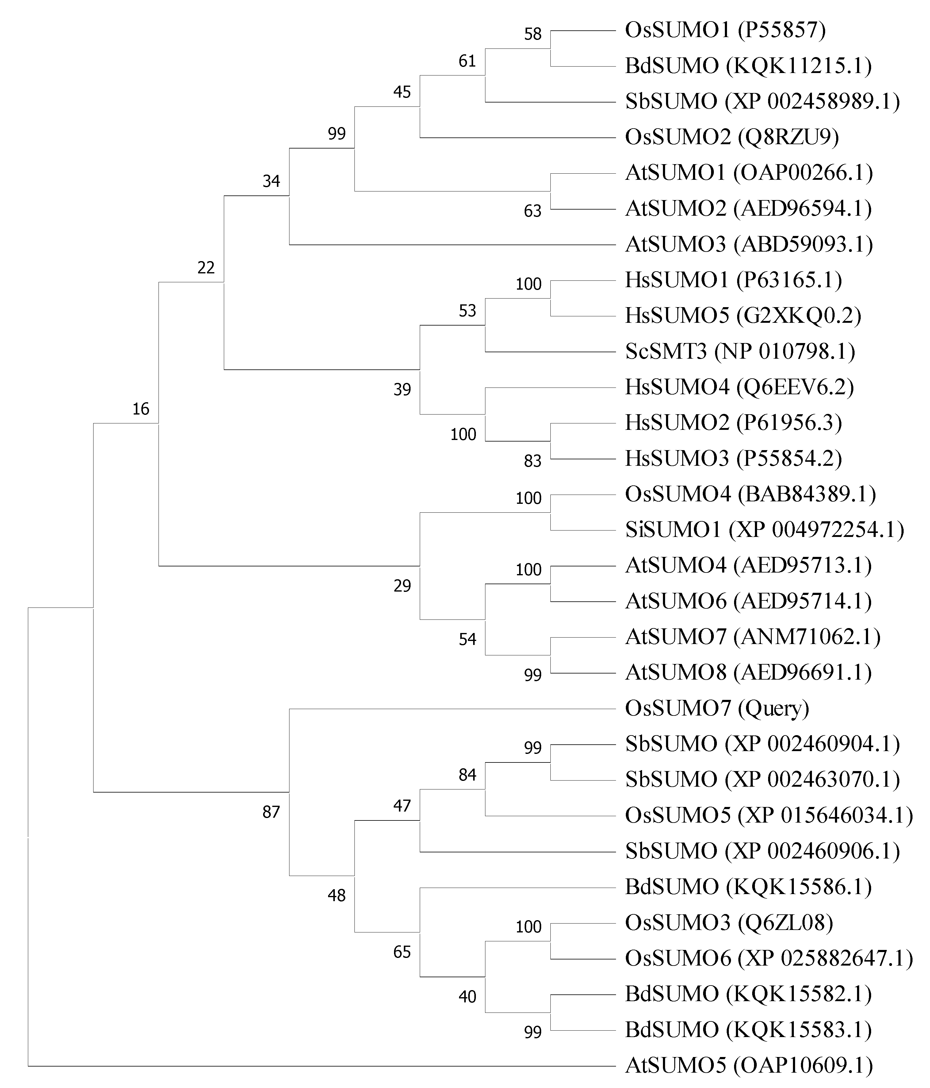 Biology 11 00053 g003