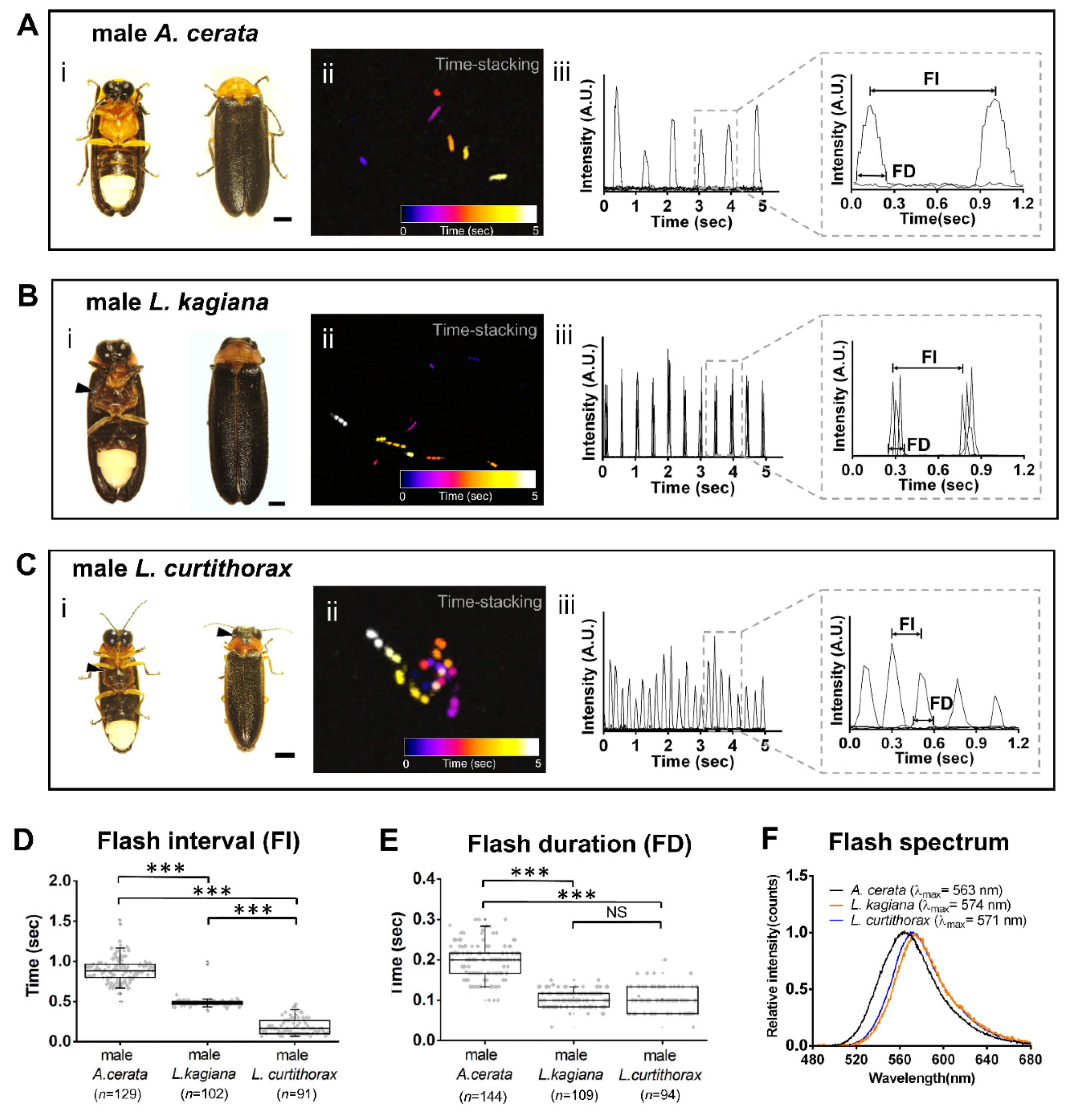Biology 11 00058 g002